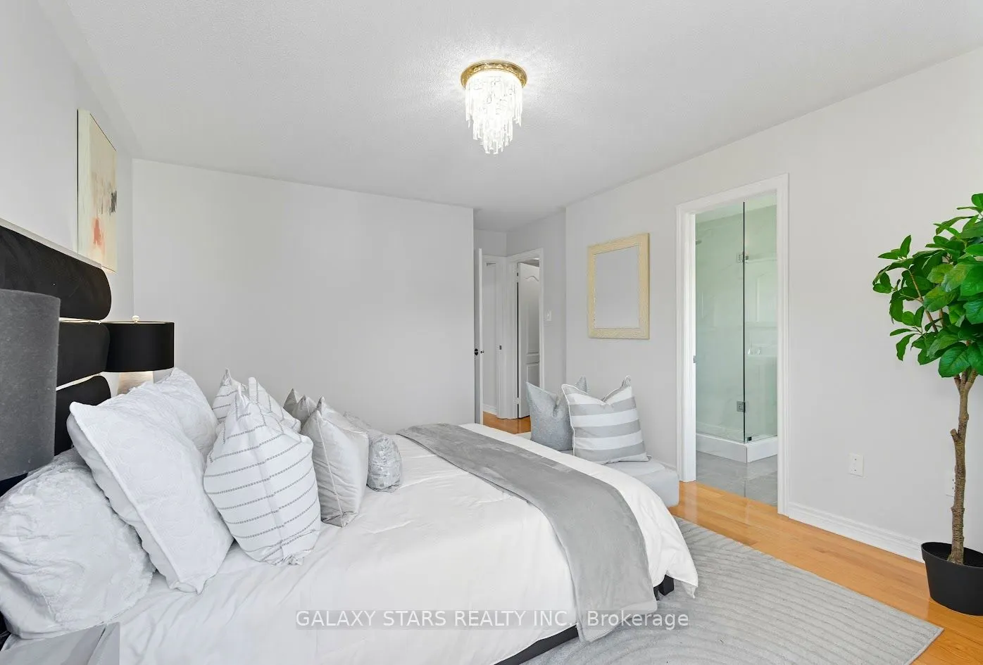 12 Primont Drive