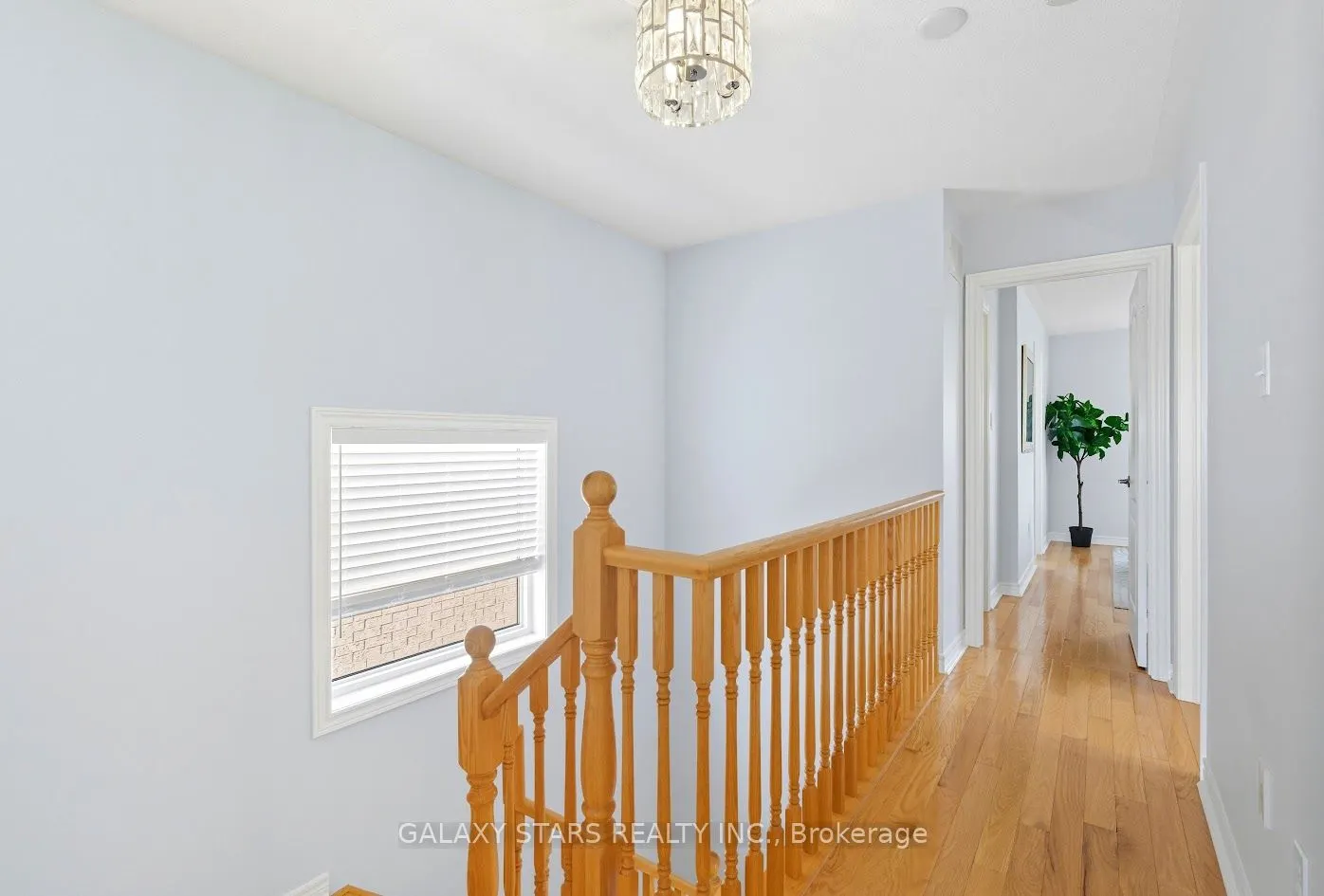 12 Primont Drive