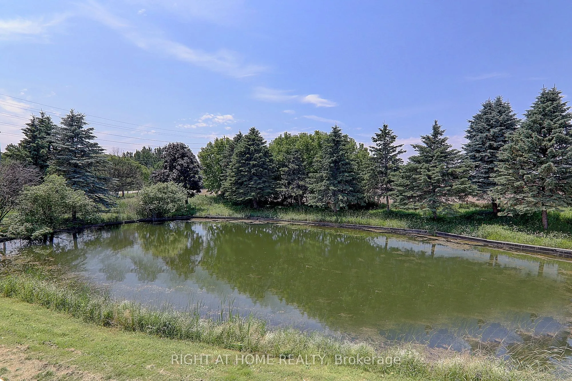 1008 Mount Albert Road