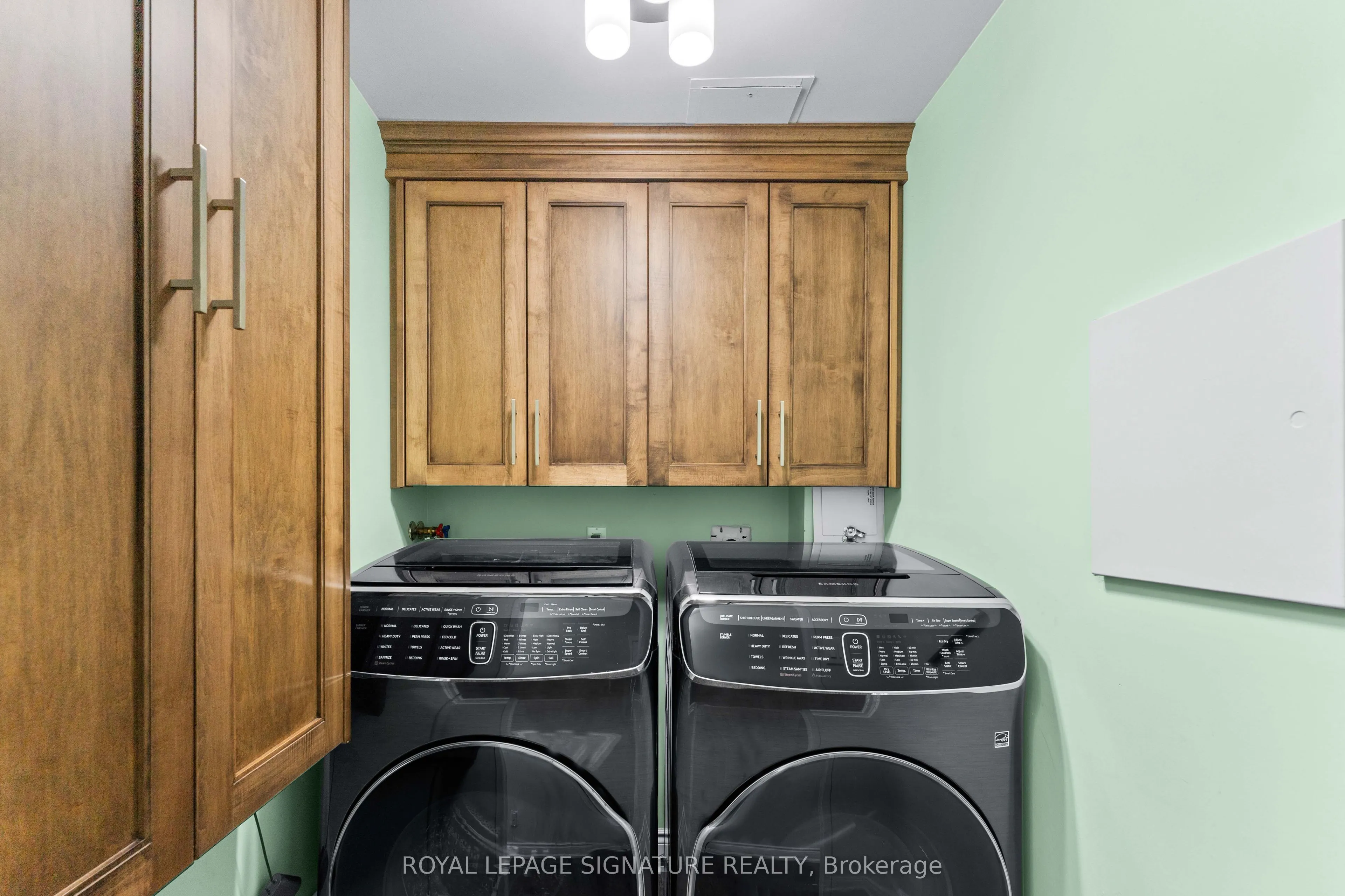 250 Davis Drive, #1007