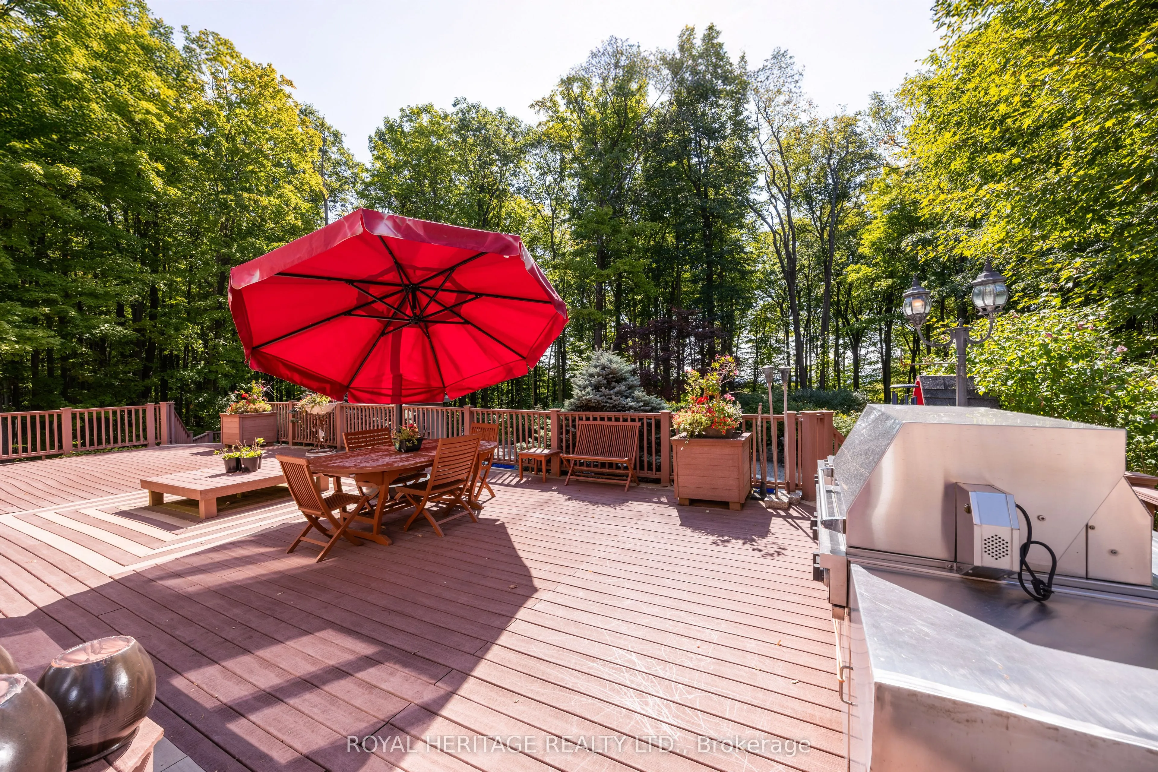 226 Forest Ridge Road