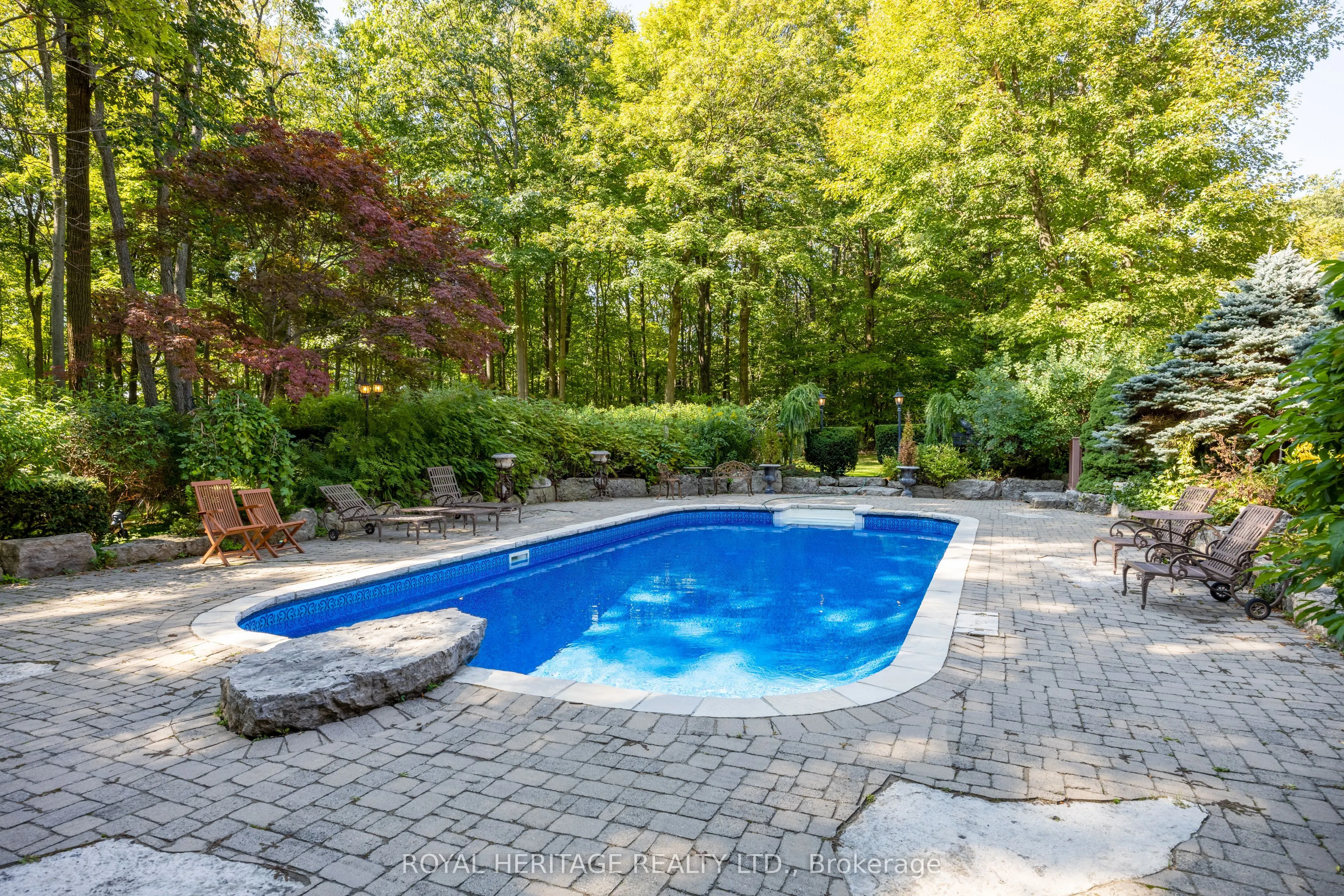 226 Forest Ridge Road