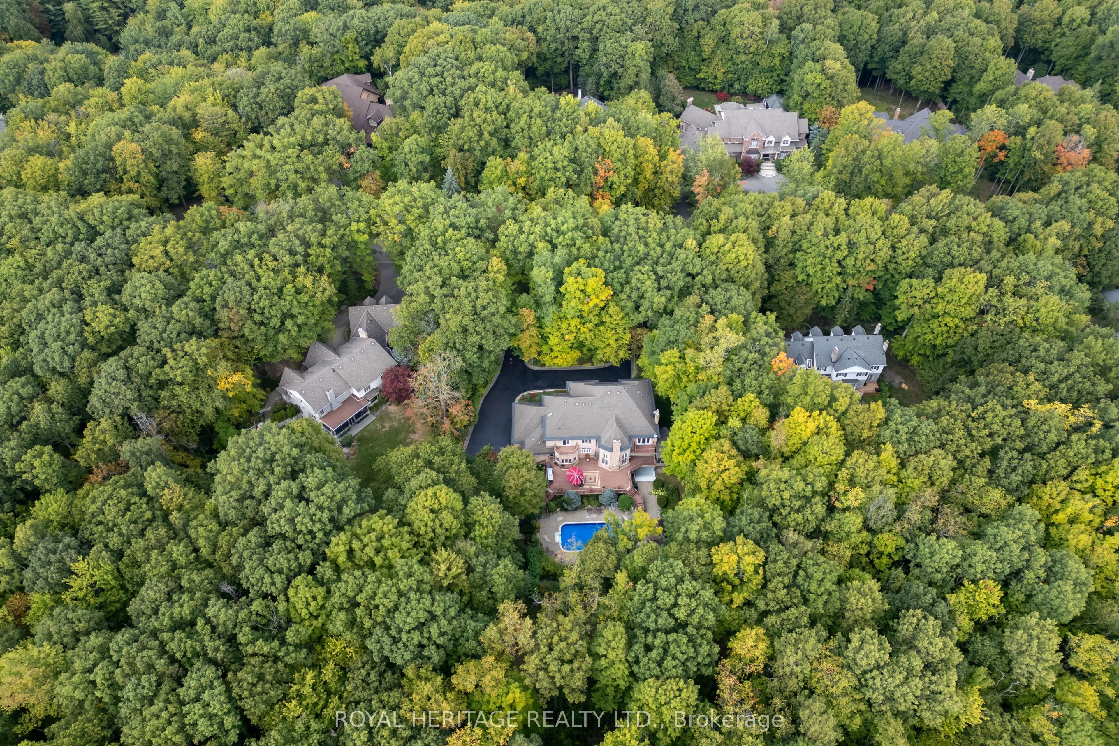 226 Forest Ridge Road