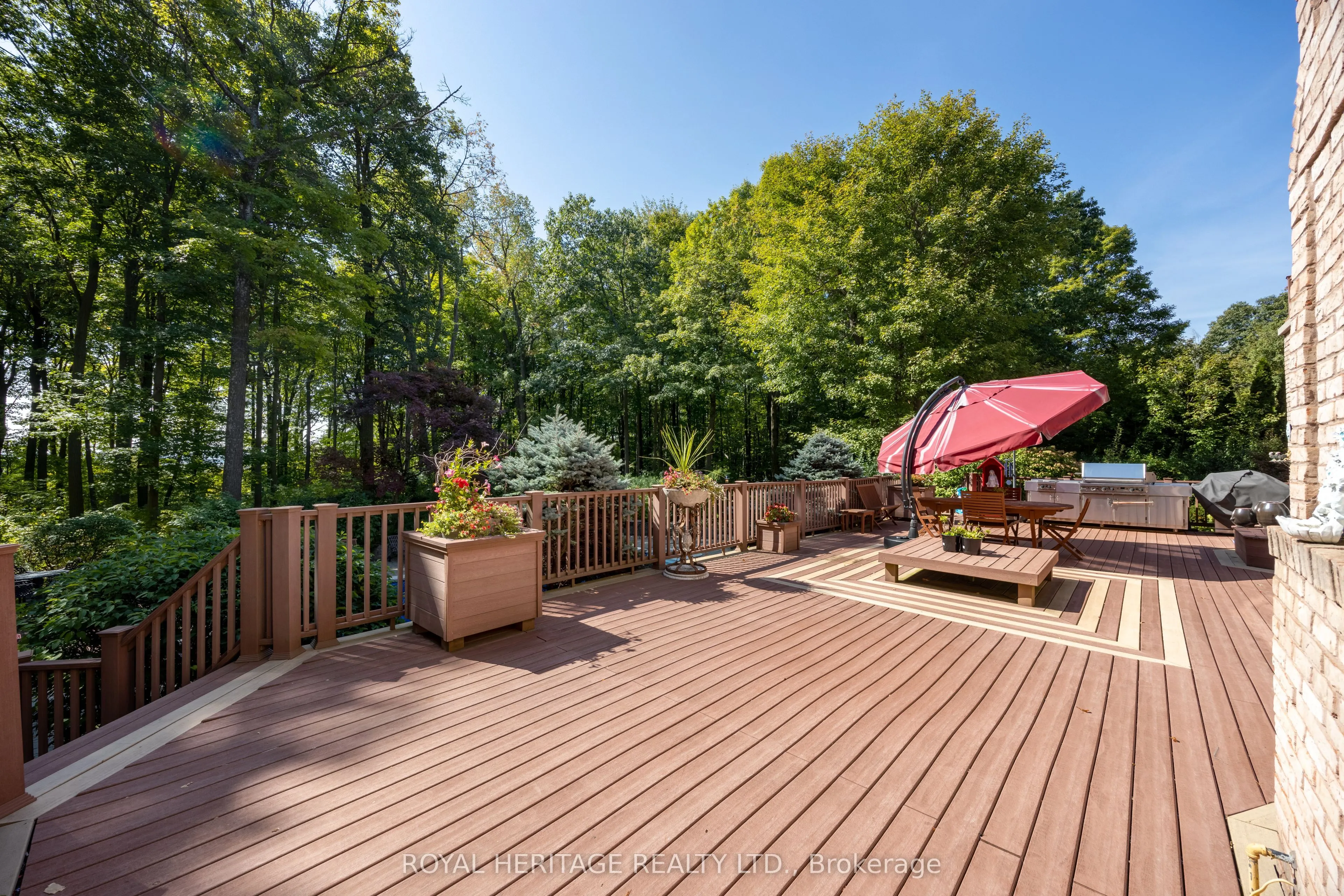 226 Forest Ridge Road