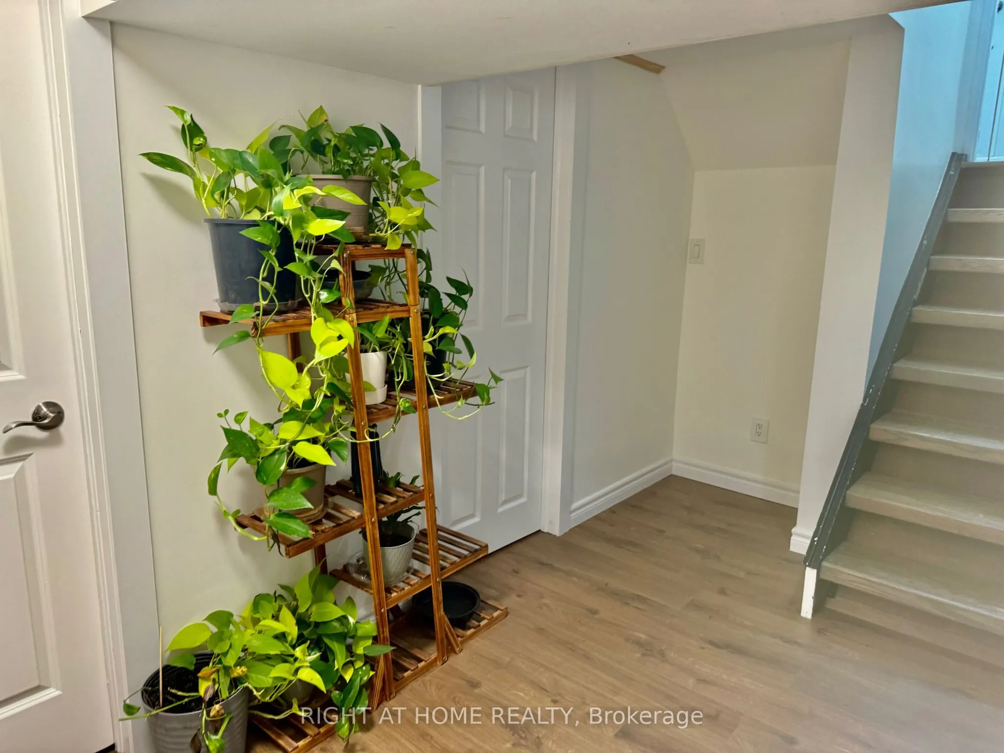 773 Elgin Street