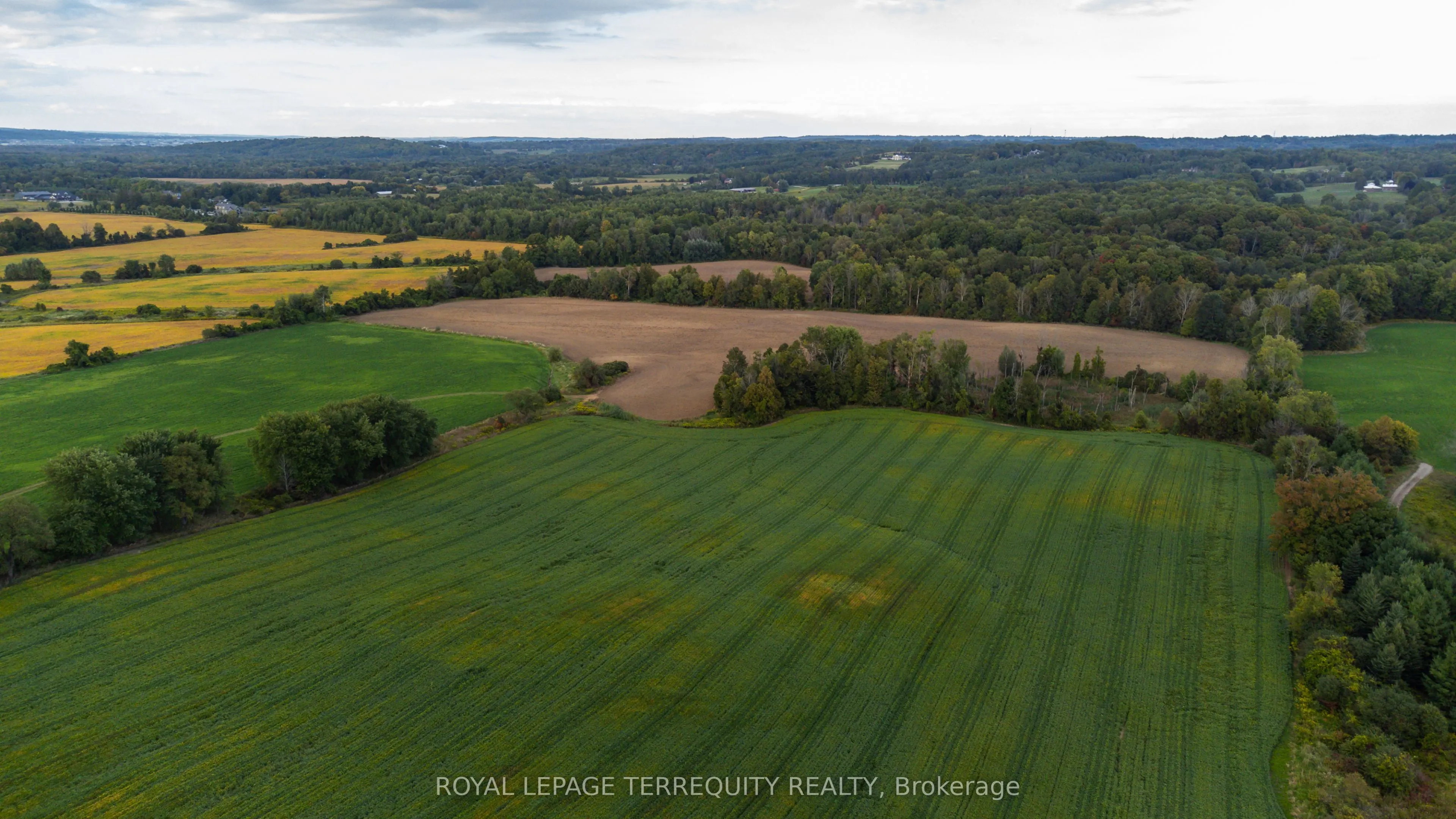 15625 8th Concession Road