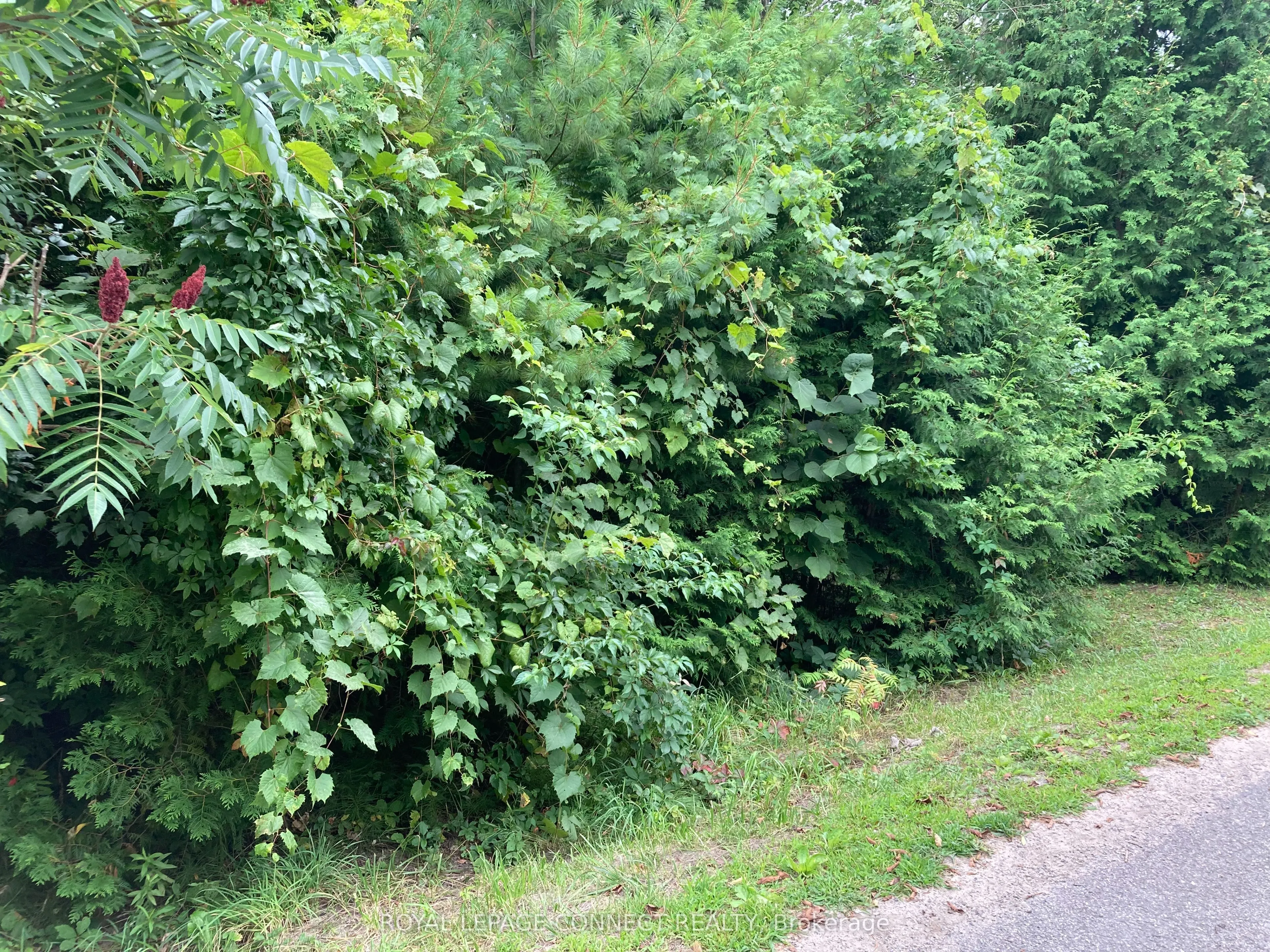 0 Pinecrest Road