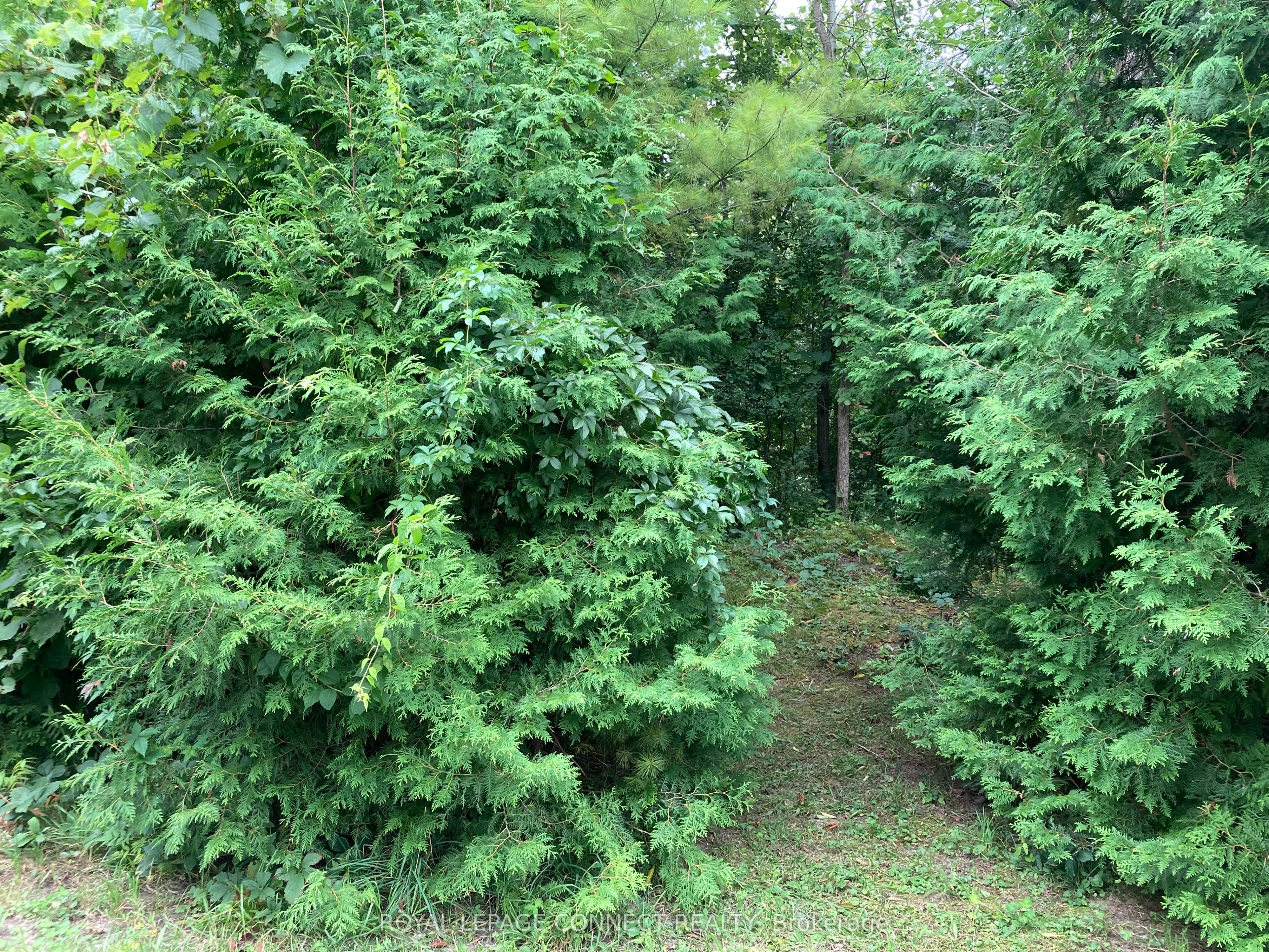 0 Pinecrest Road
