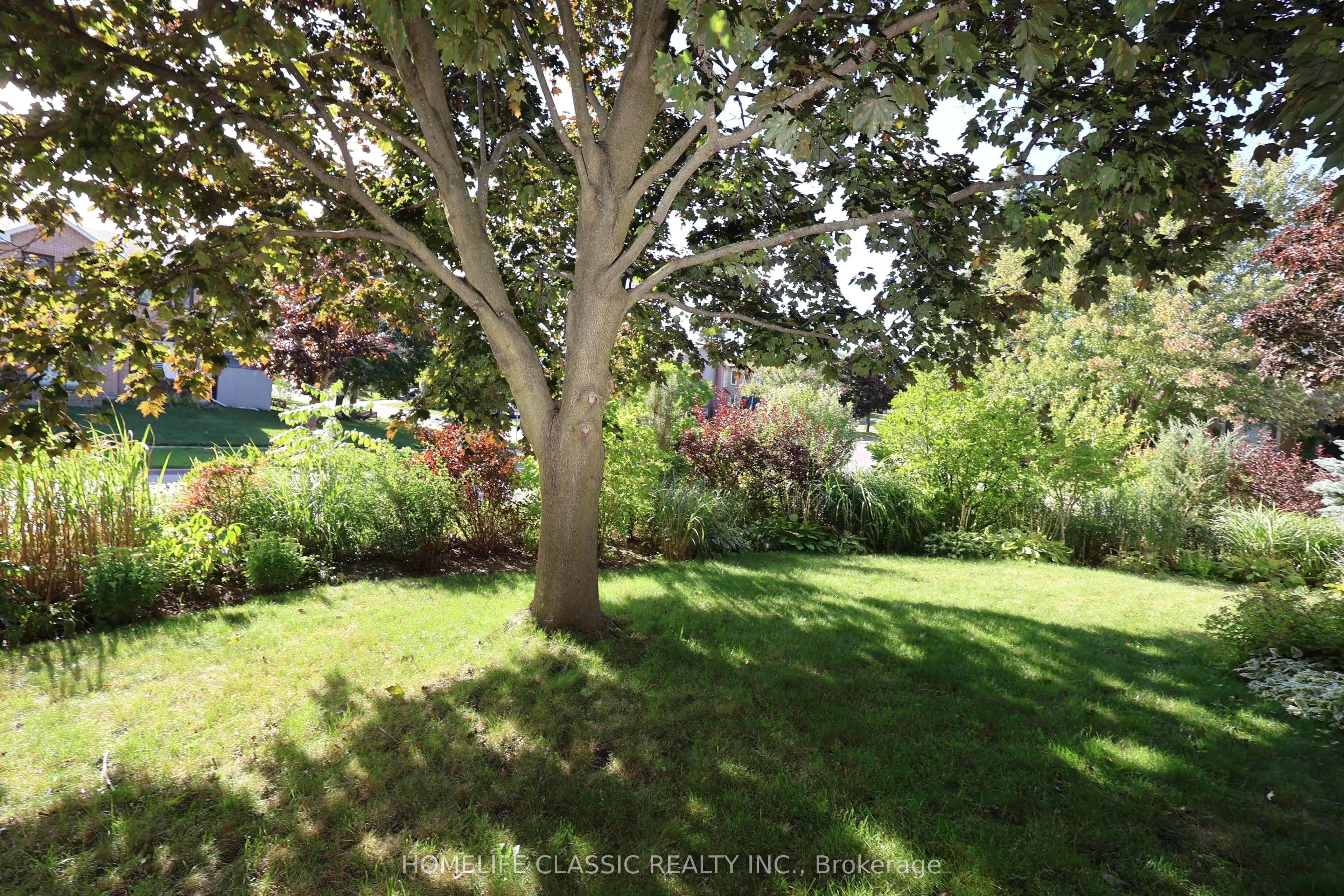 354 Bexhill Road