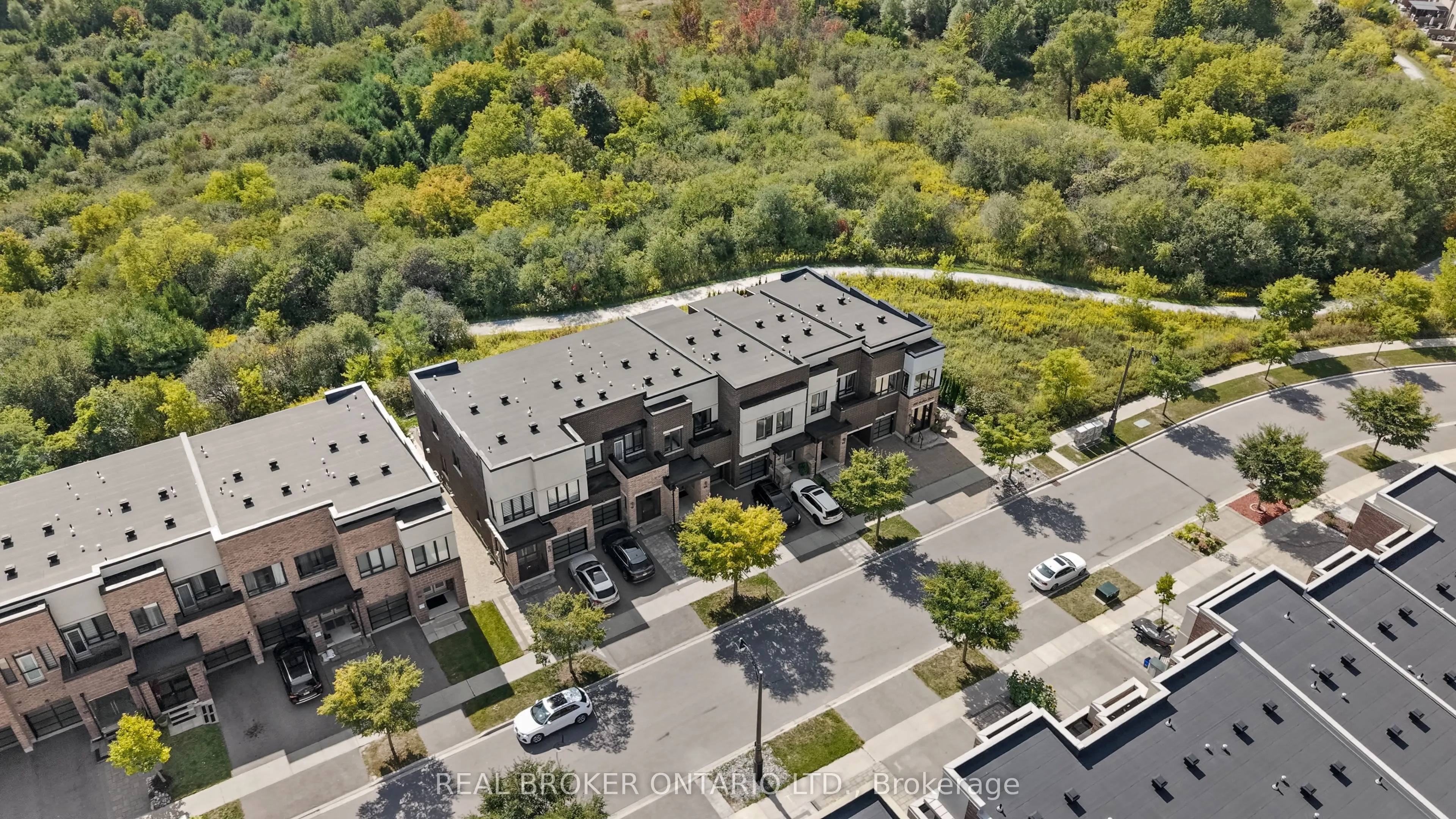 109 Anchusa Drive