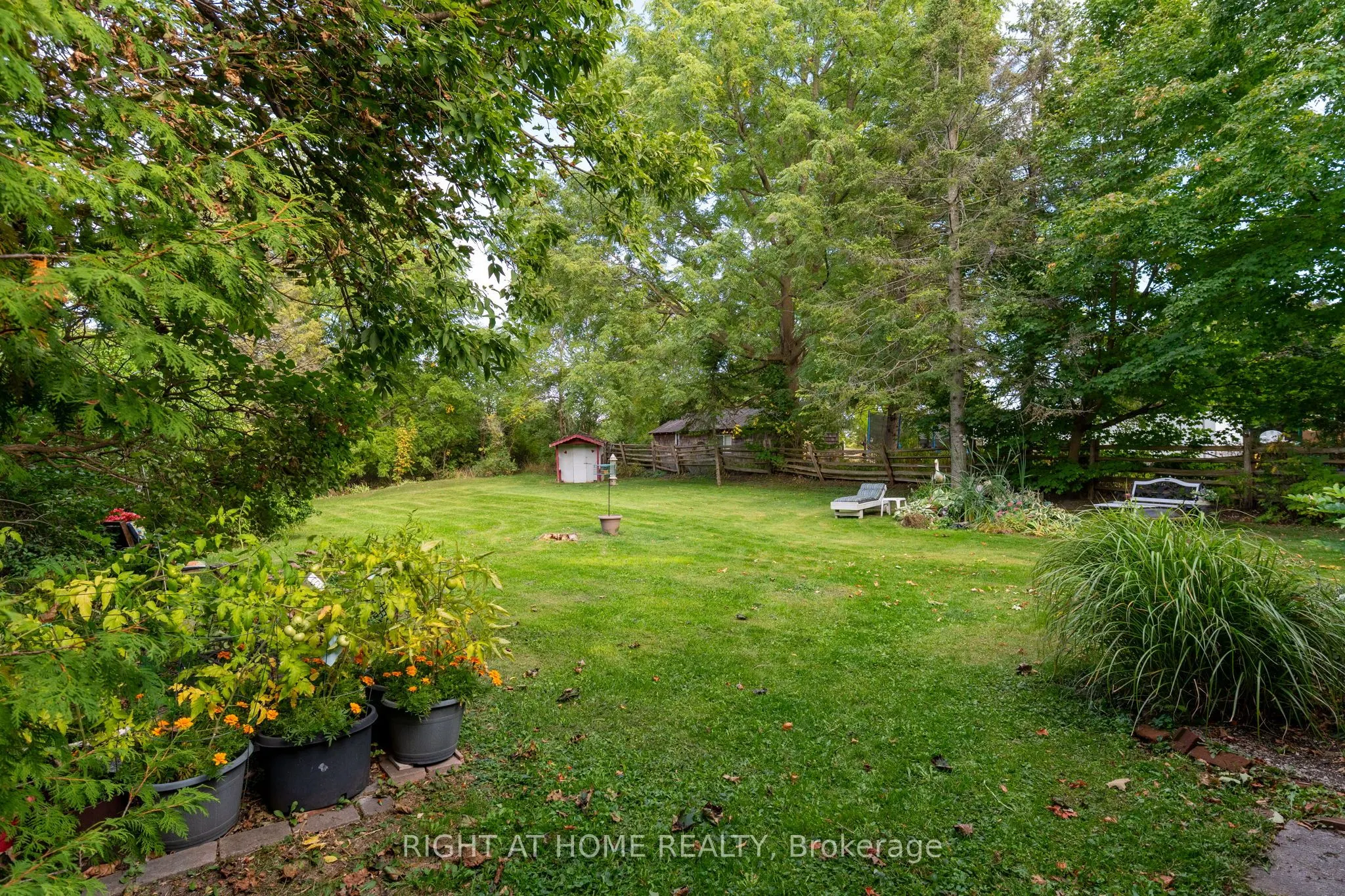 220 Barrie Street