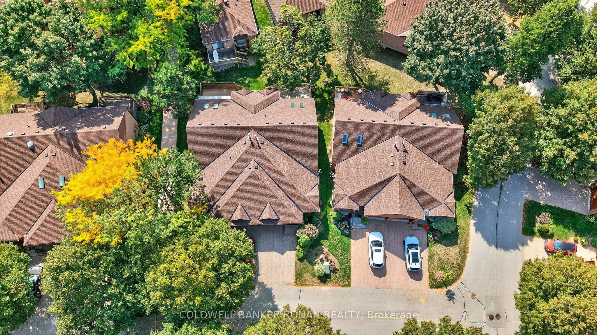 12 Glenwood Drive, #7