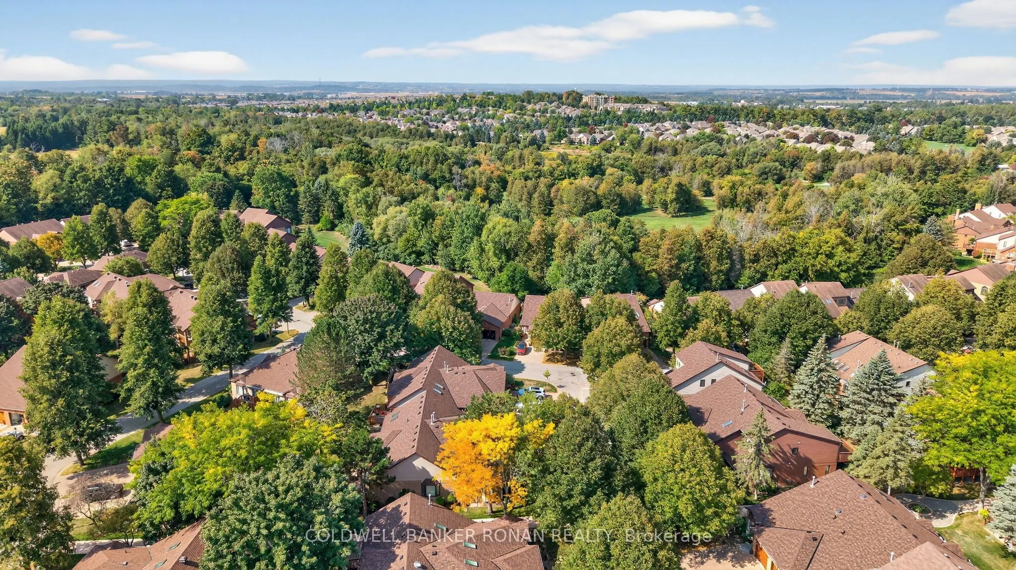 12 Glenwood Drive, #7