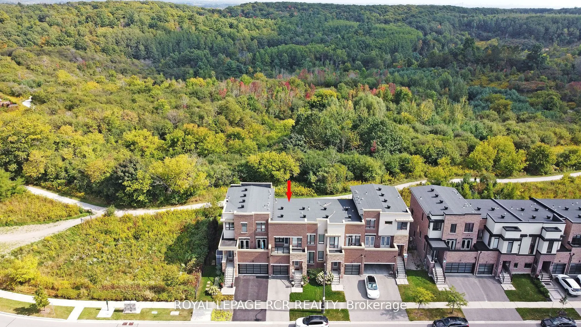 65 Anchusa Drive