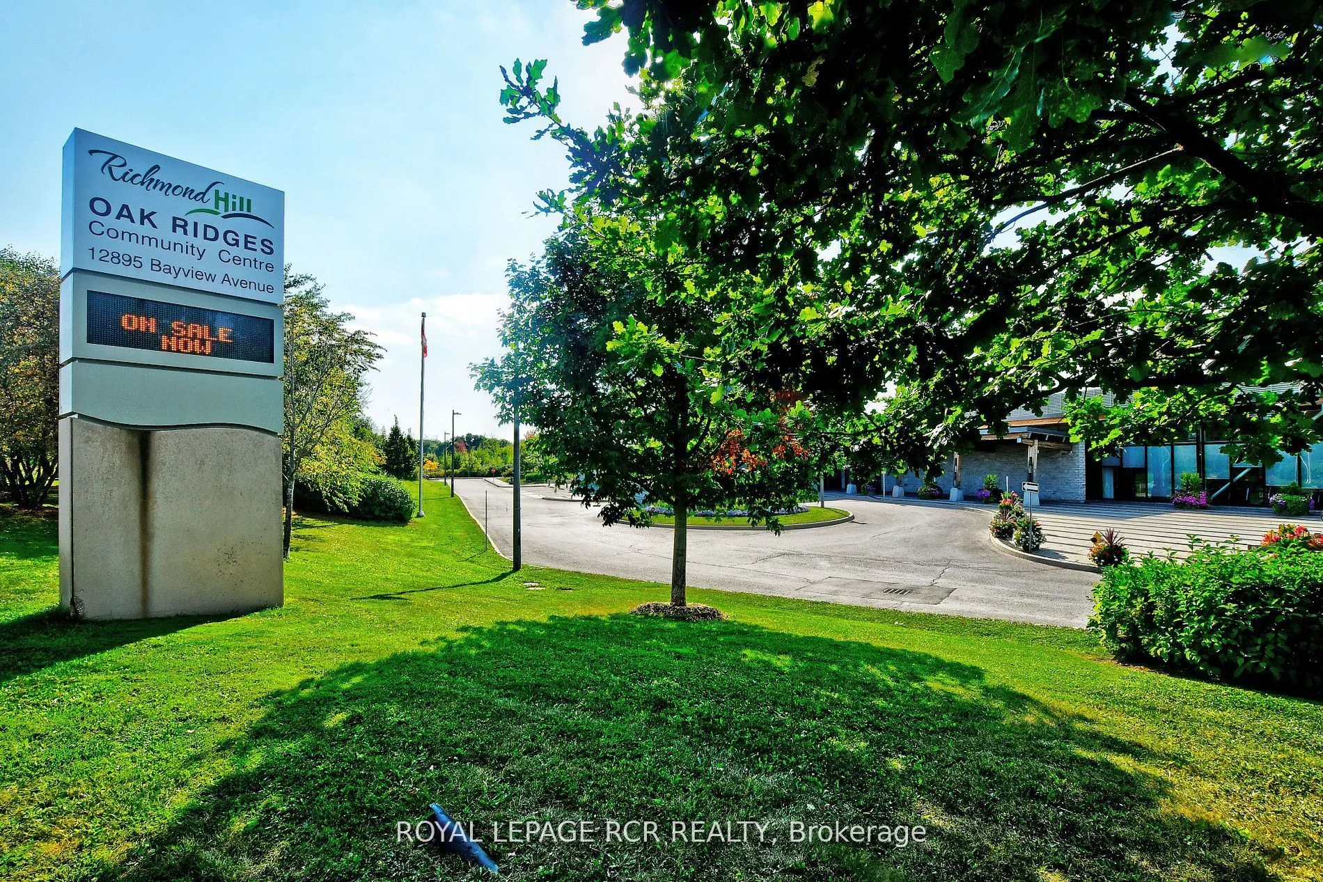 65 Anchusa Drive