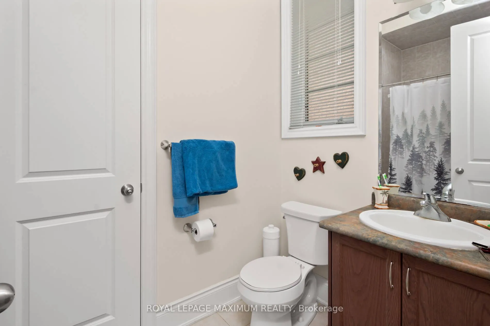 4 Blue Beech Trail