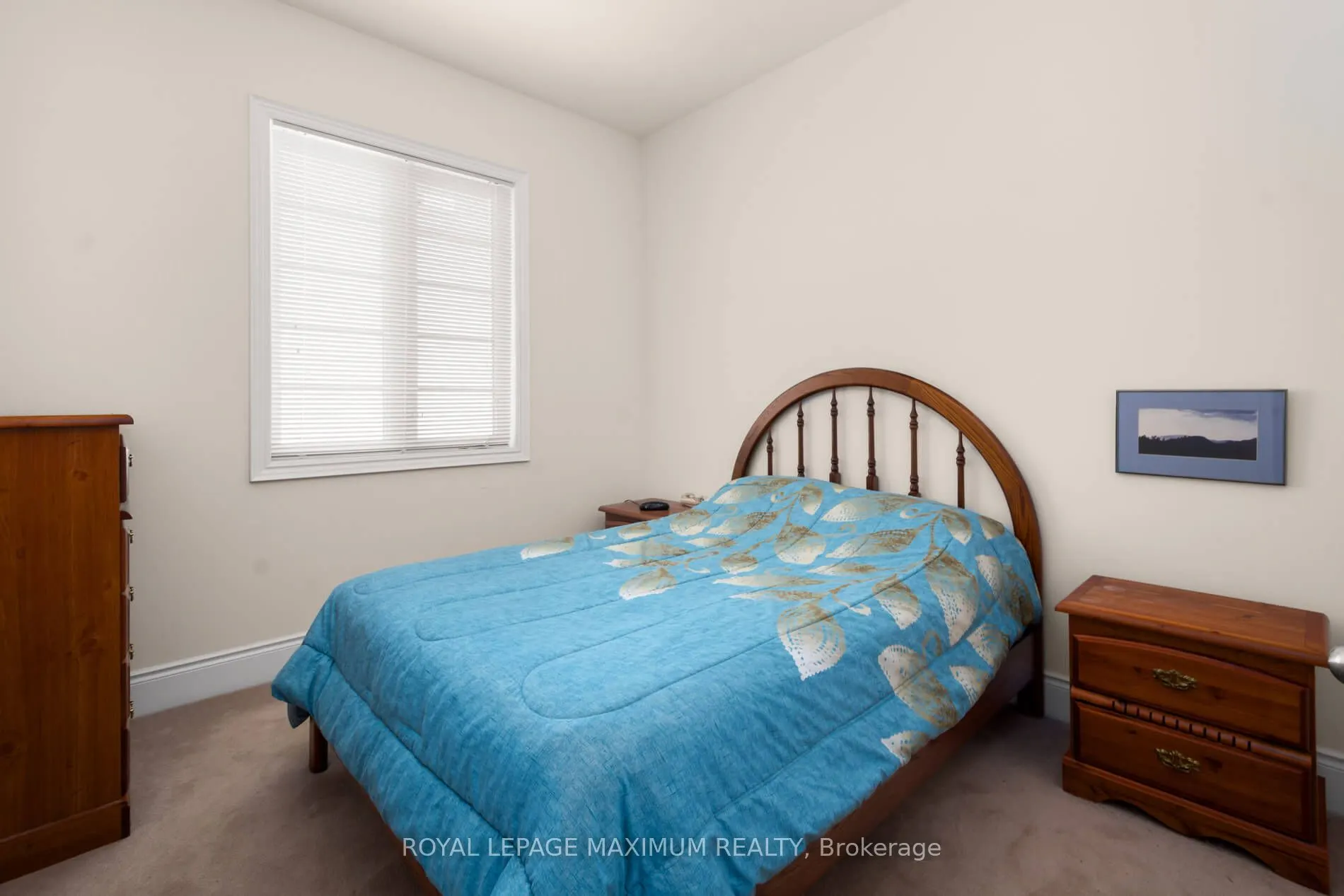 4 Blue Beech Trail