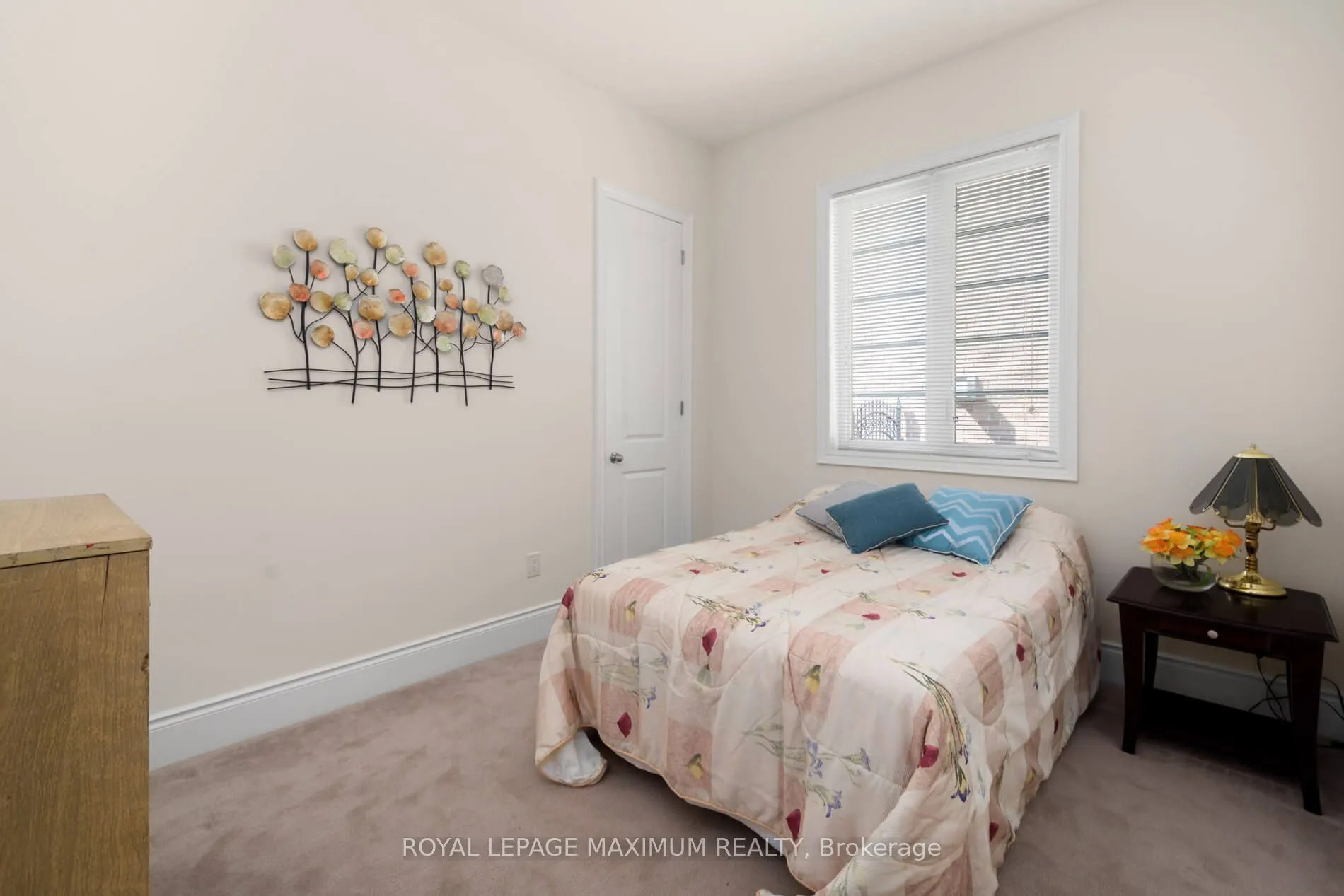 4 Blue Beech Trail