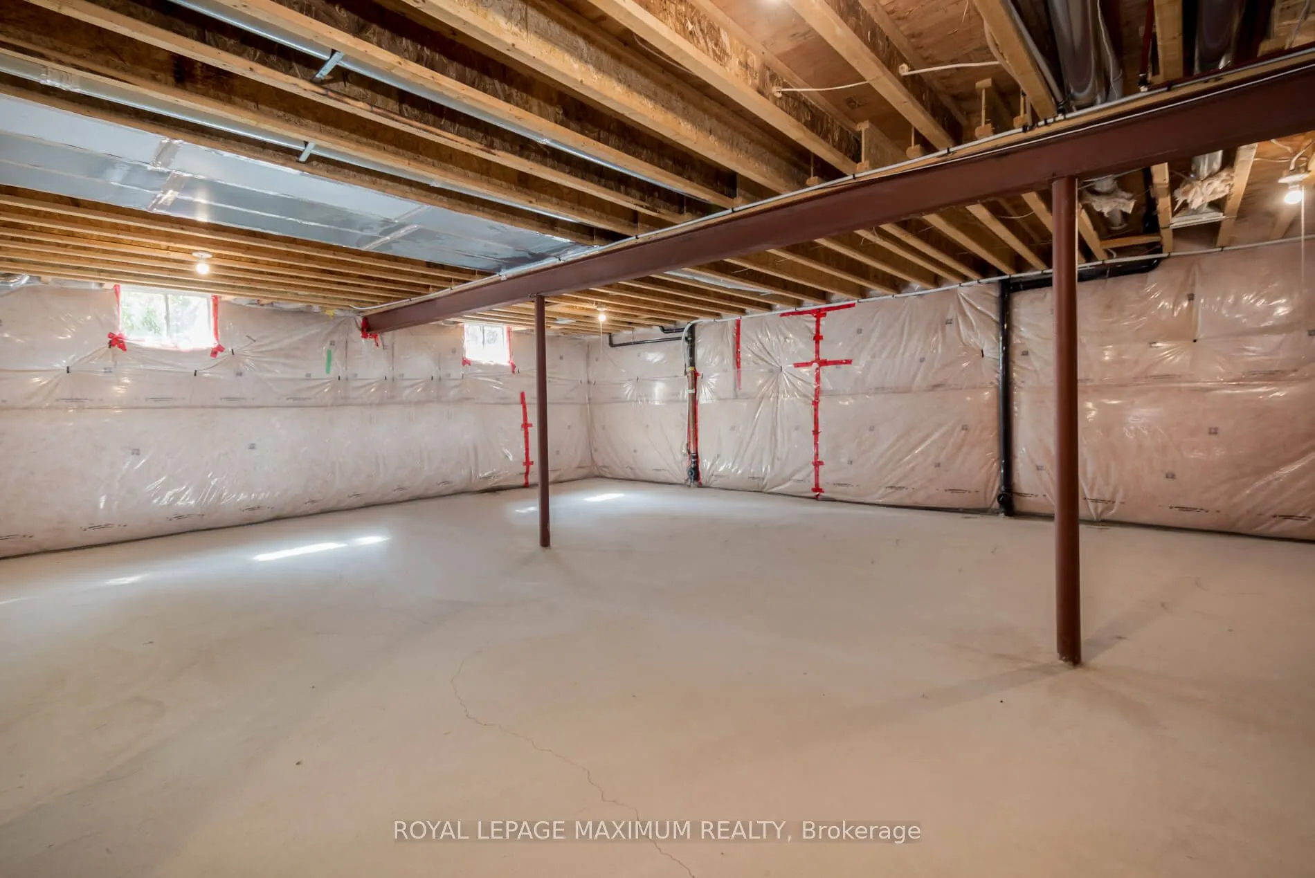 4 Blue Beech Trail