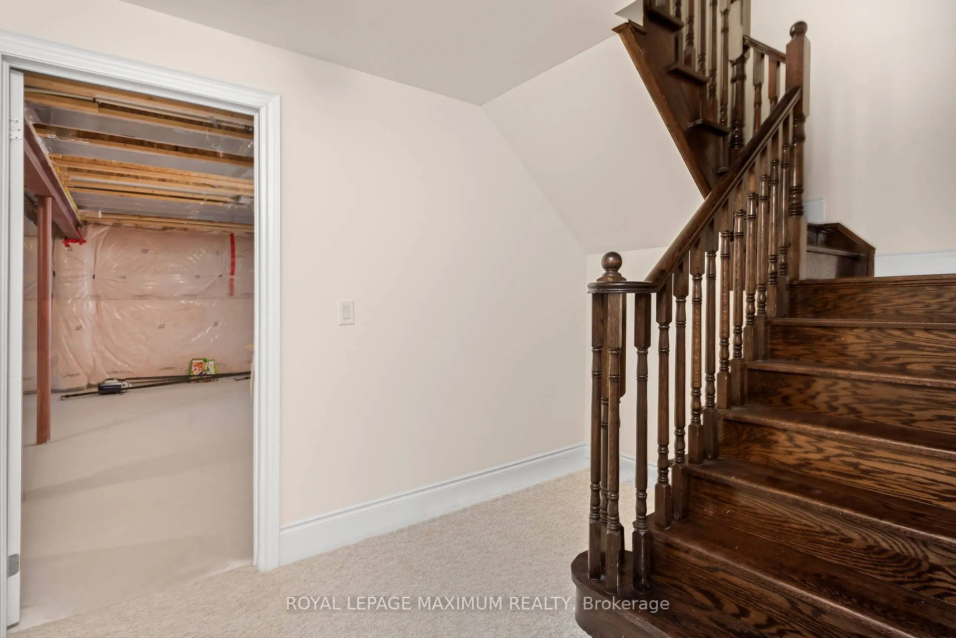 4 Blue Beech Trail