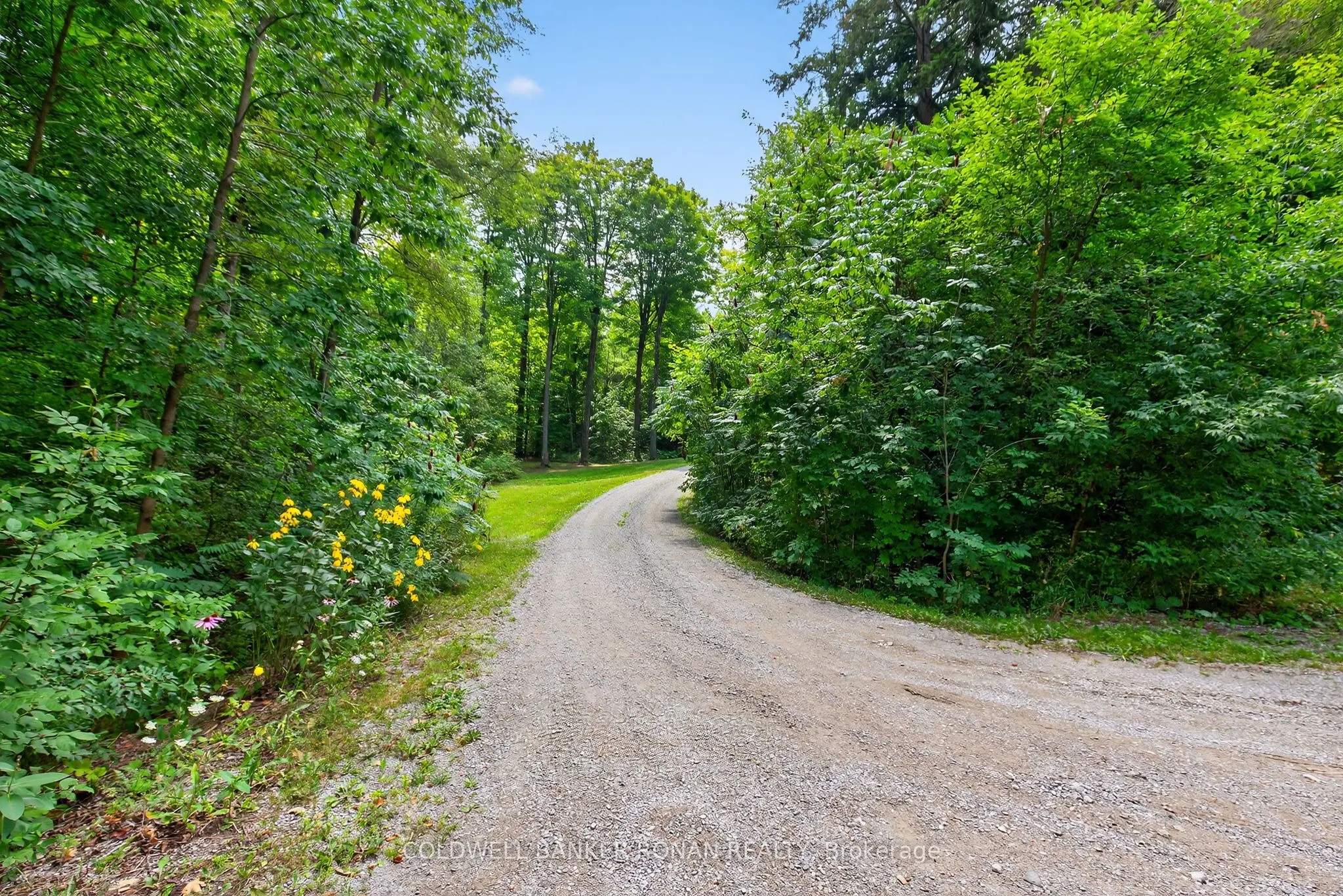 7501 5th Side Road