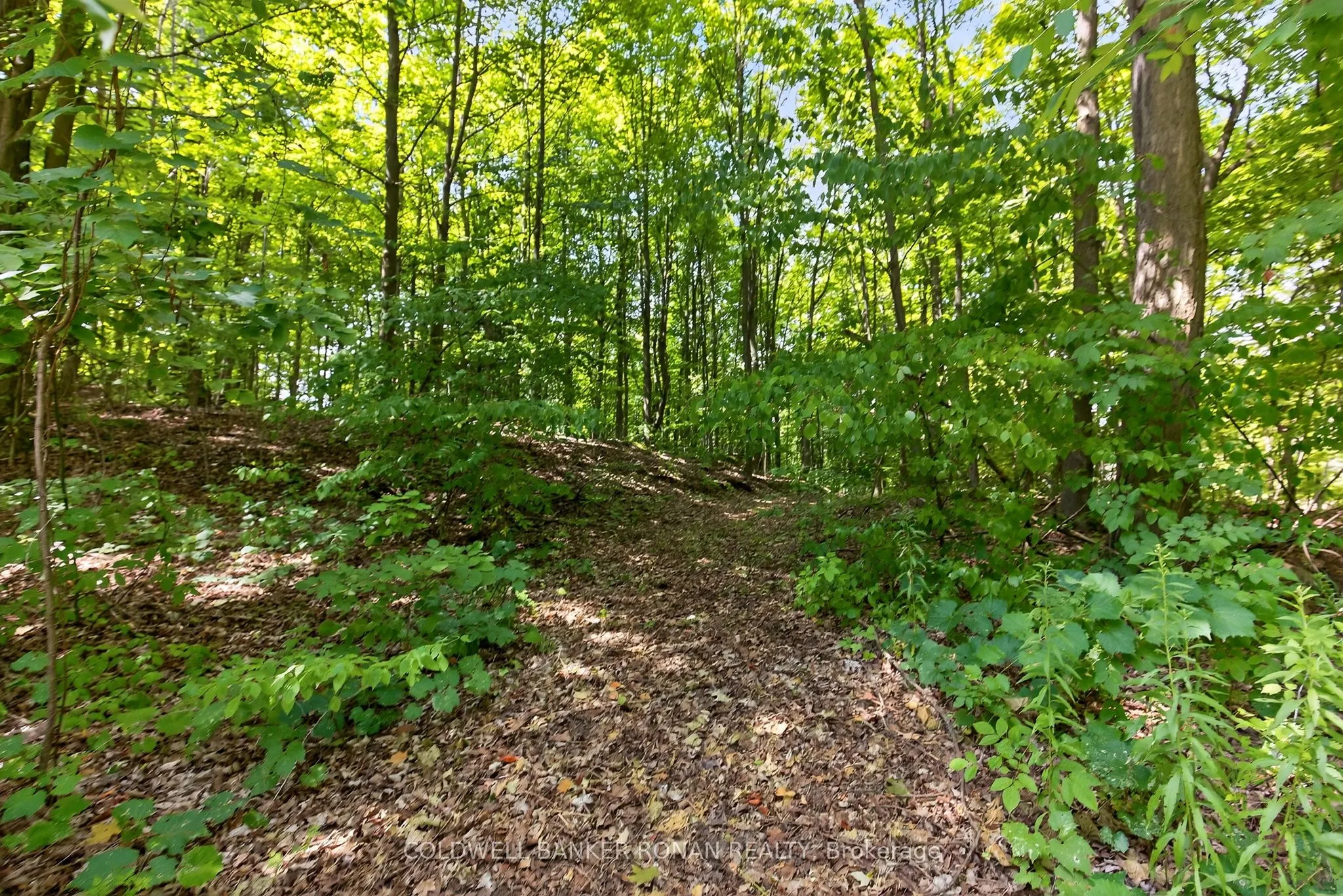 7501 5th Side Road