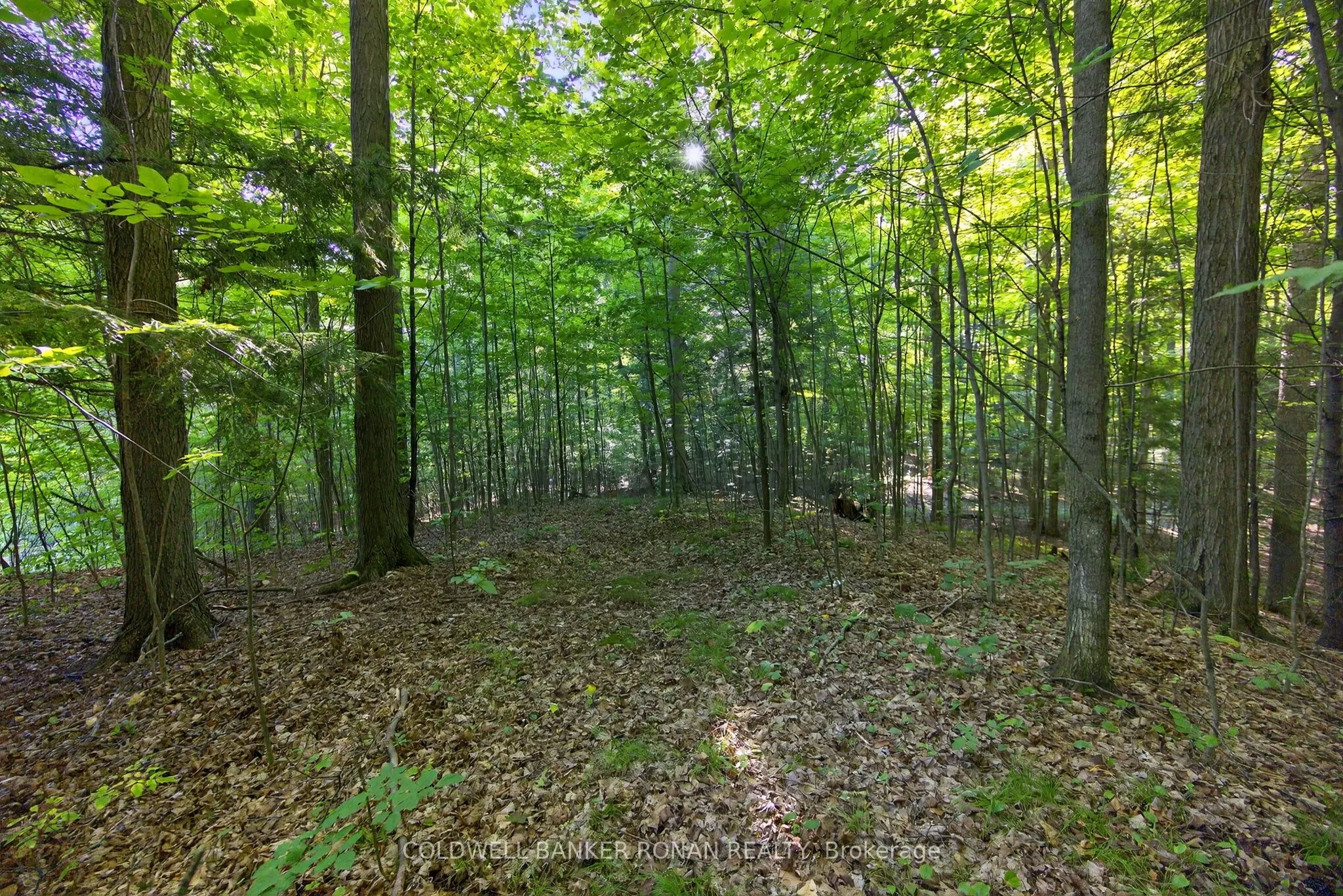 7501 5th Side Road