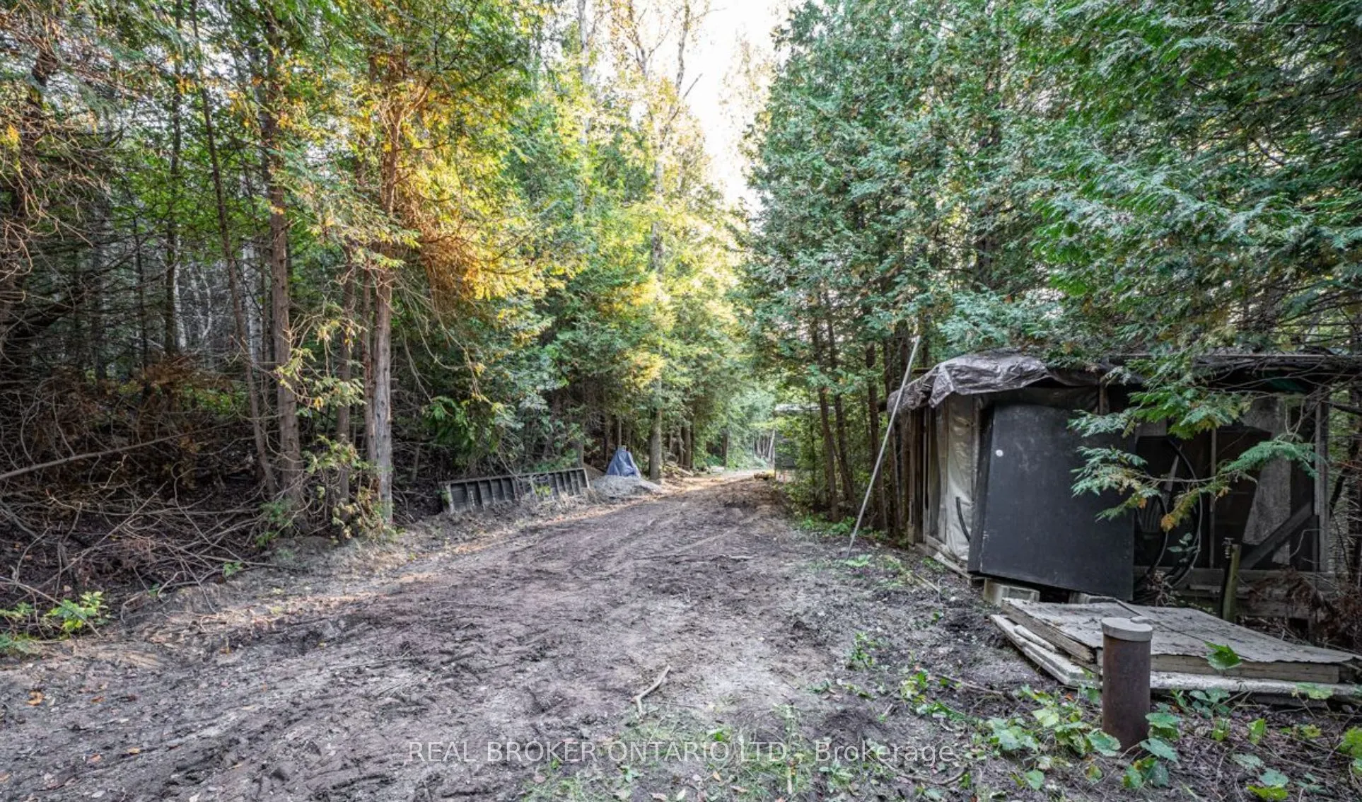 5703 10th Side Road