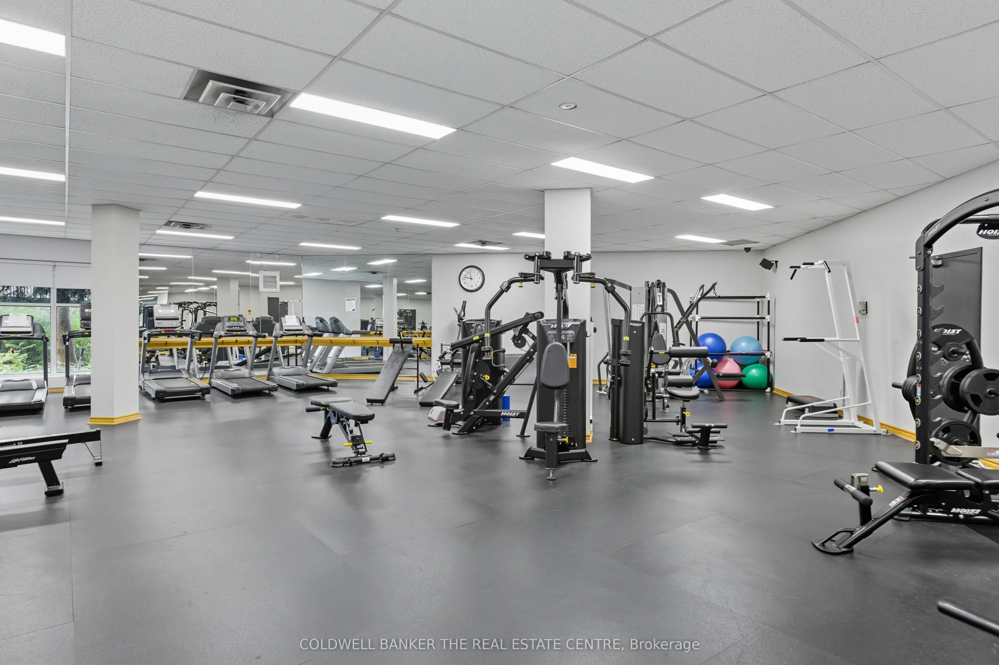30 Harding Boulevard W, #404