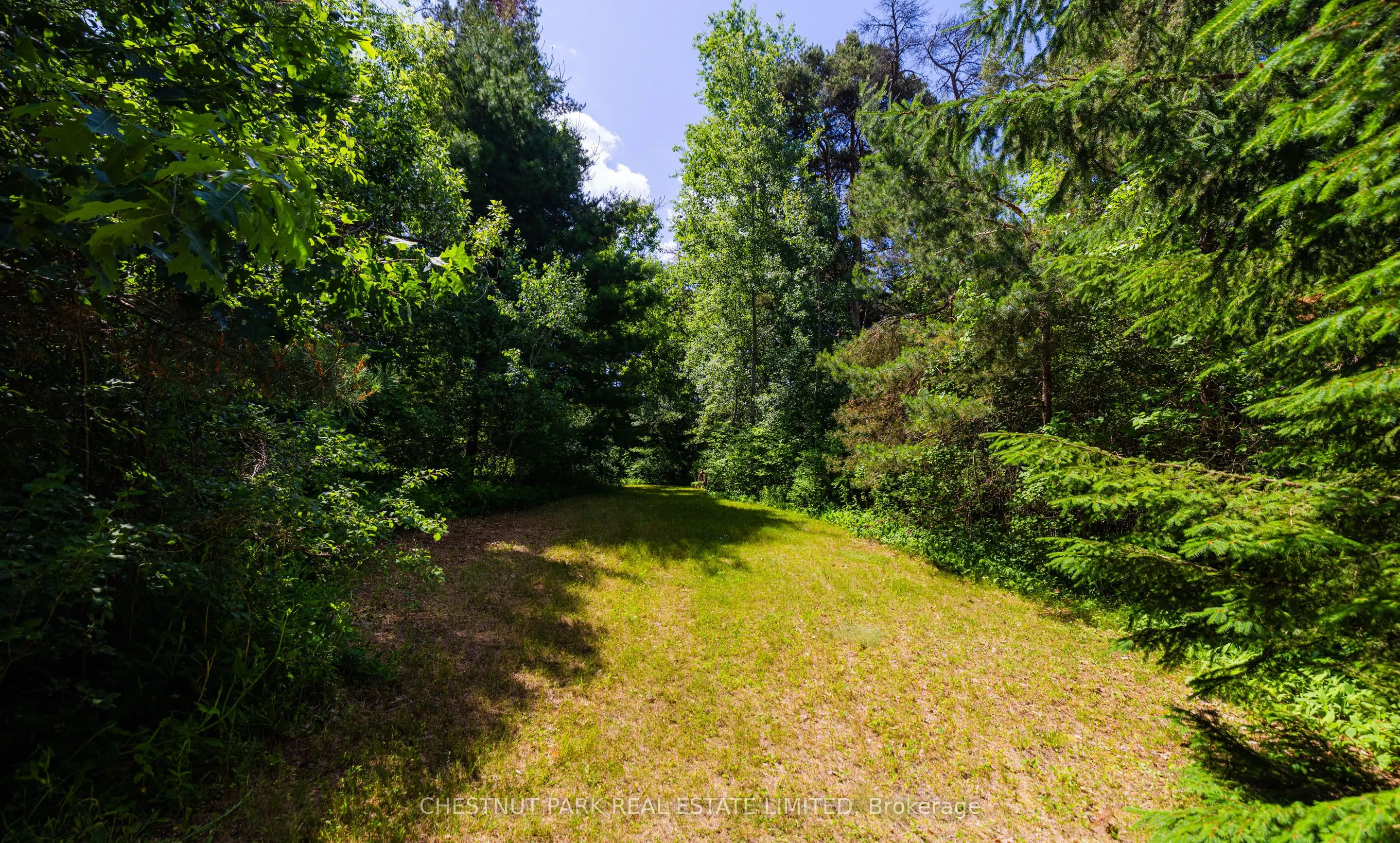 90 Ridge Road