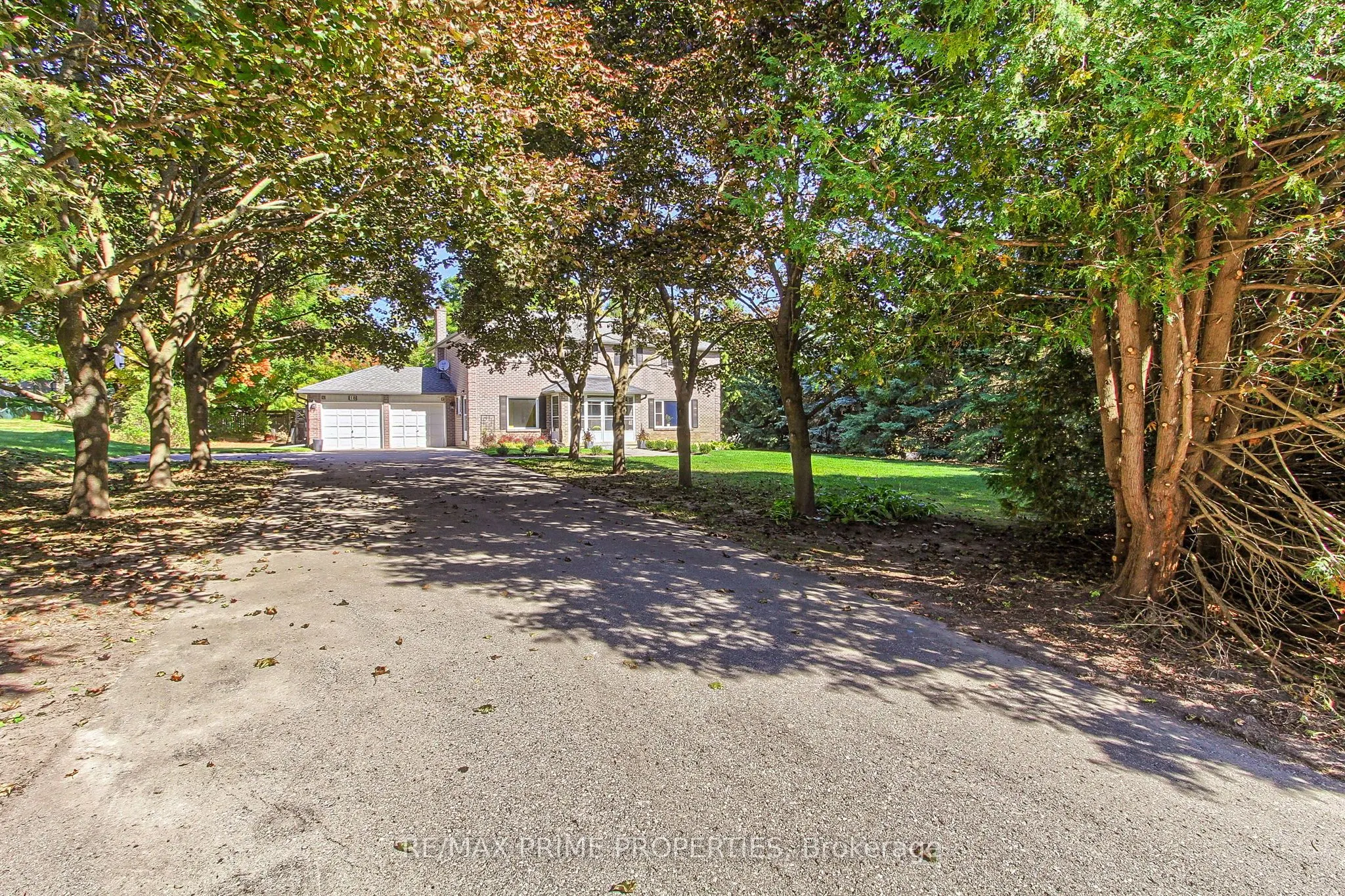 18 testa Street