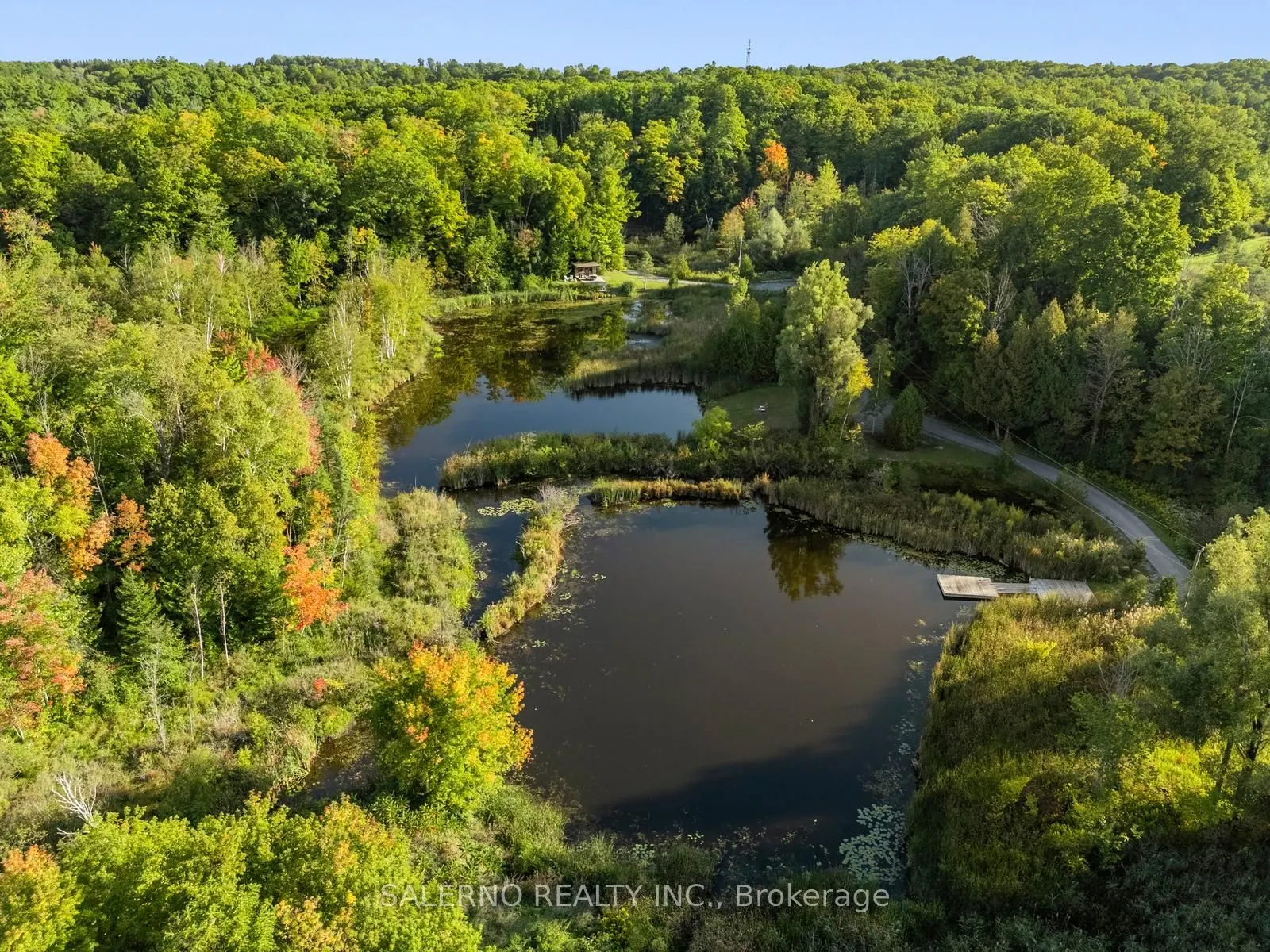 3651 Vandorf Side Road