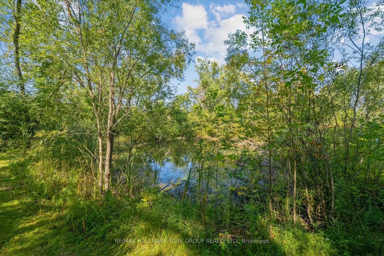 12 Cedarbrook Drive