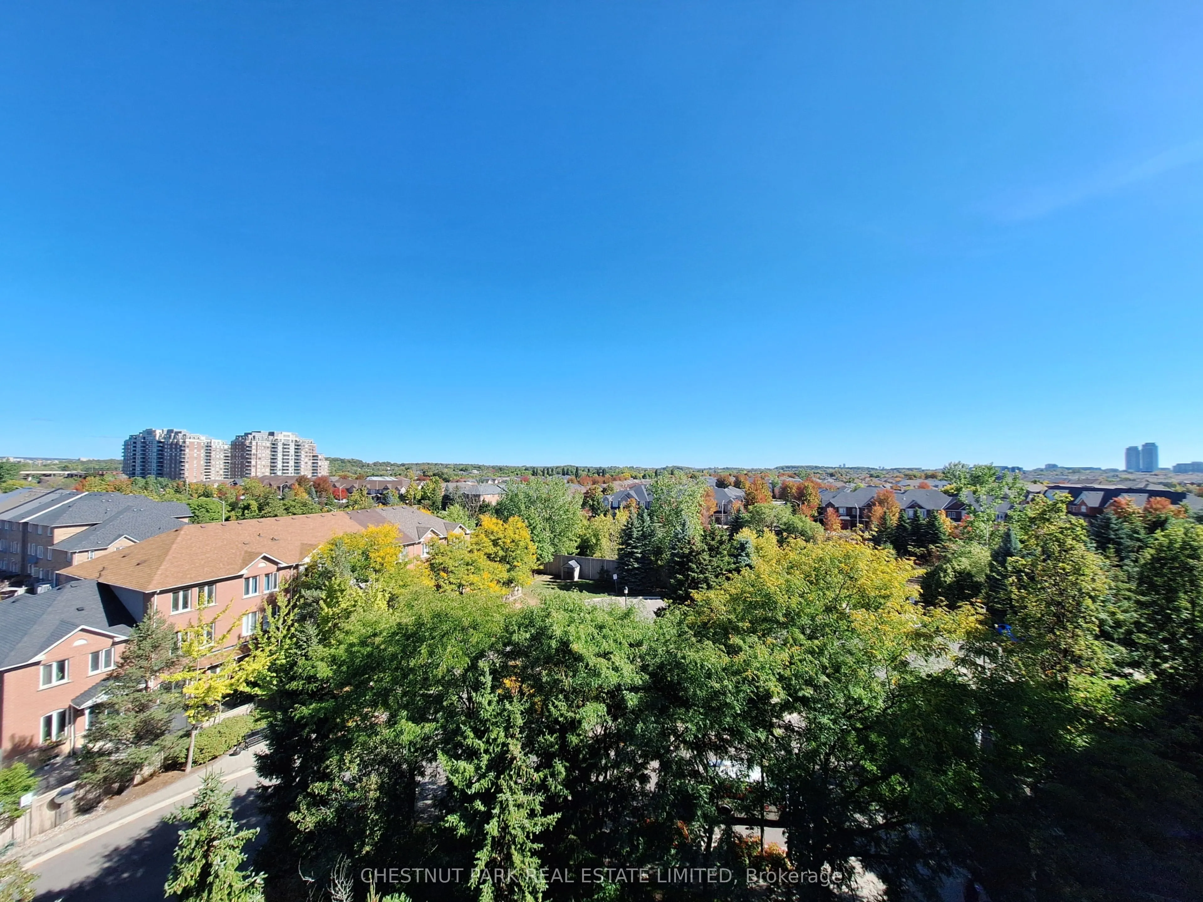 3 Ellesmere Street, #622