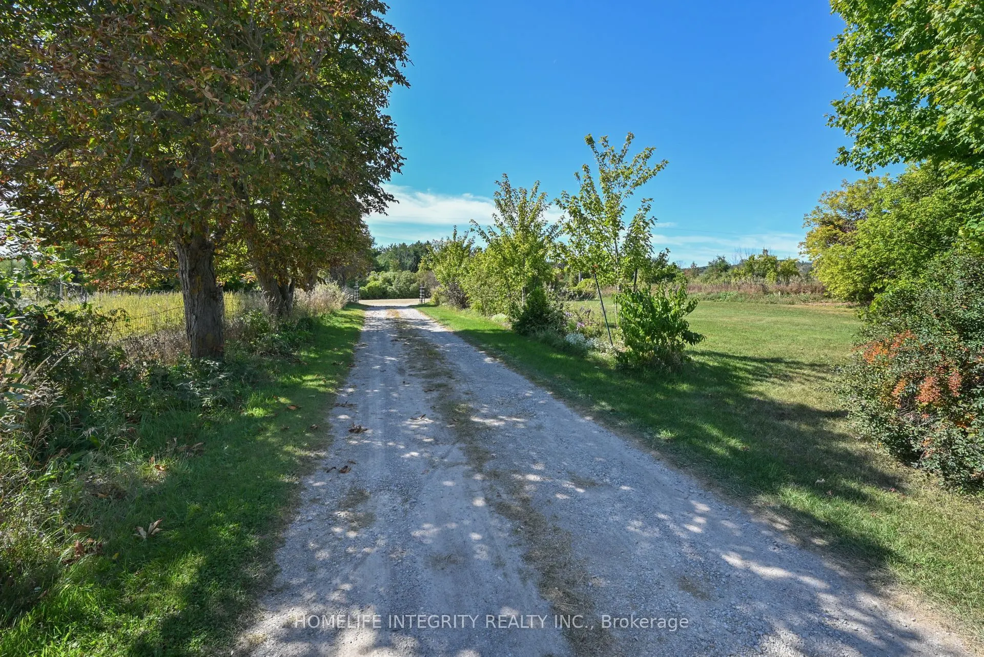 995305 Mono Adjala Townline