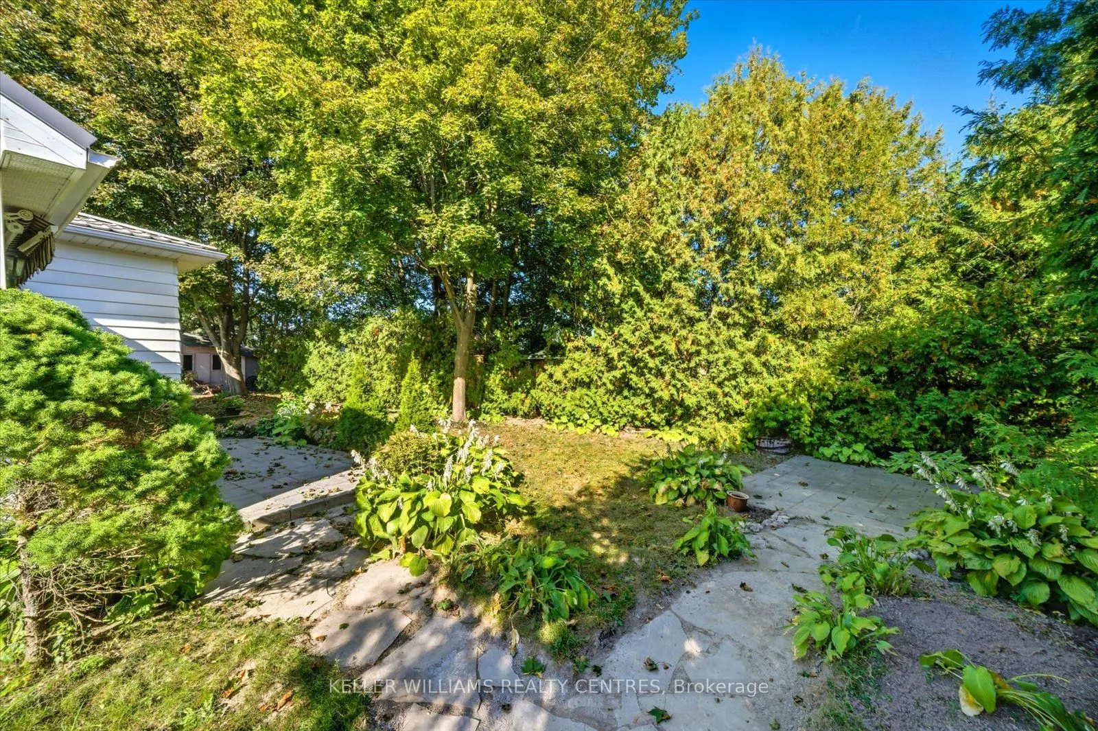 655 Park Court