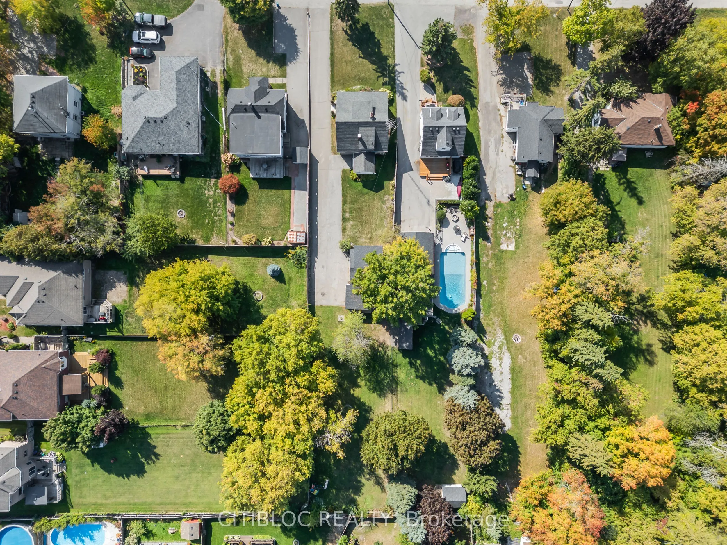 393 The Queensway S