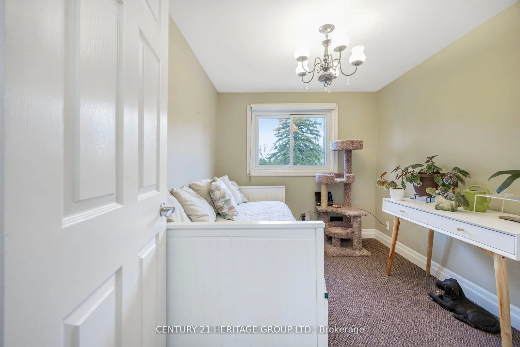 46 Adeline Avenue