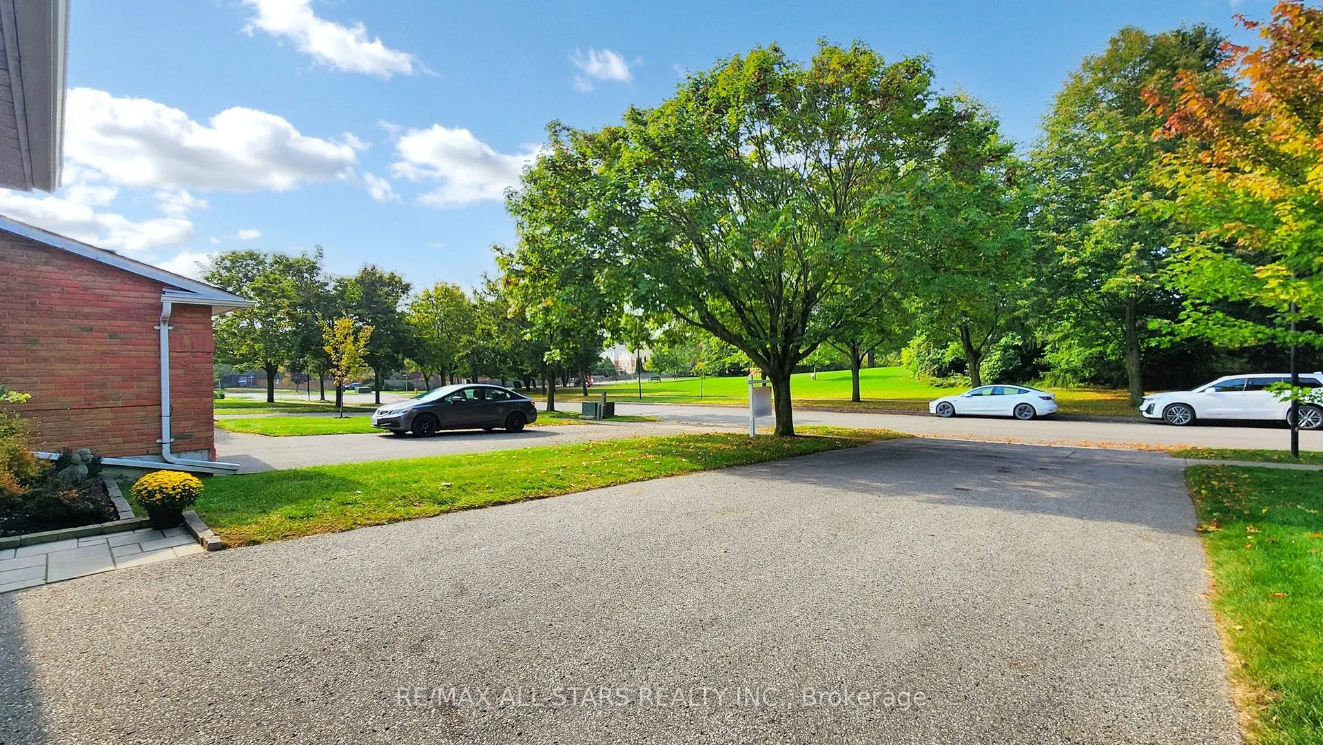 96 South Balsam Street, #3