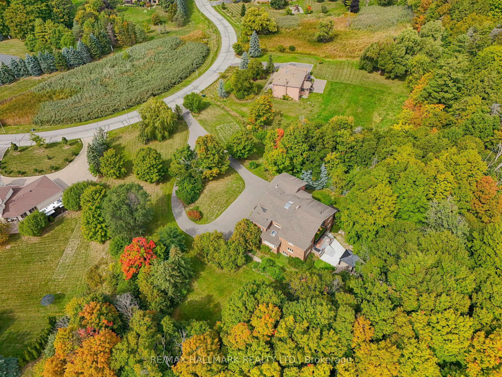 61 Petermar Drive