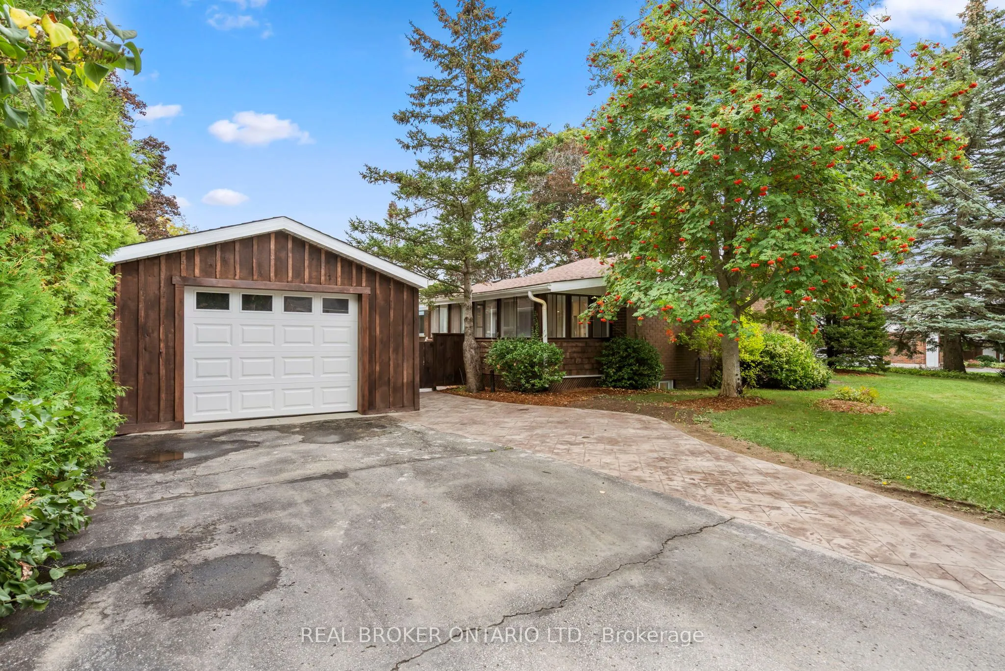 241 Maple Street