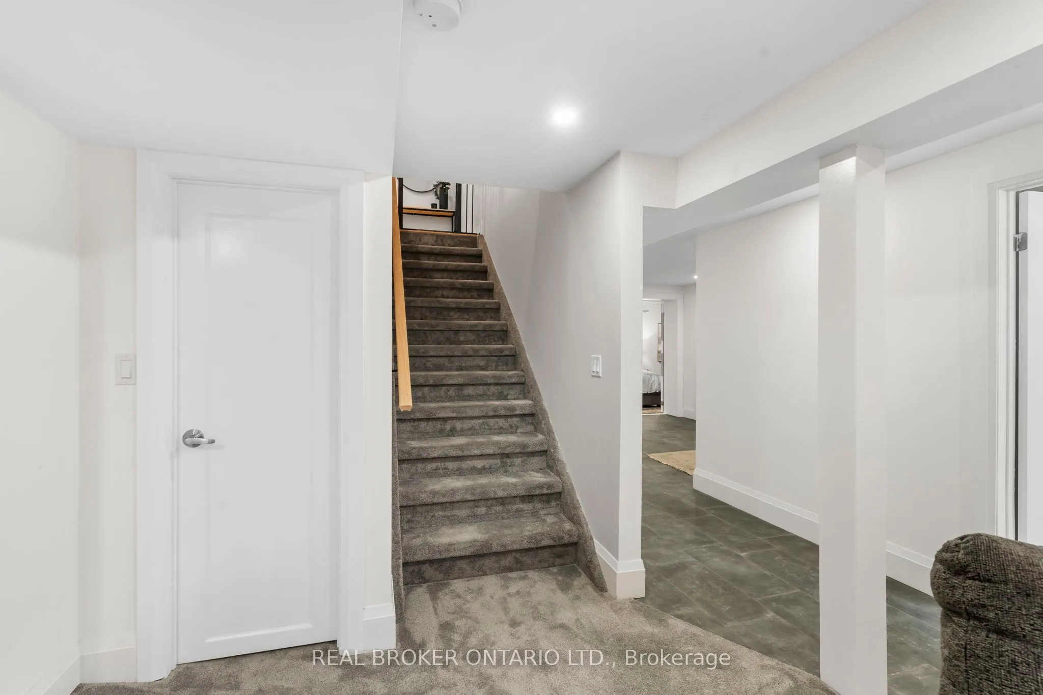 241 Maple Street