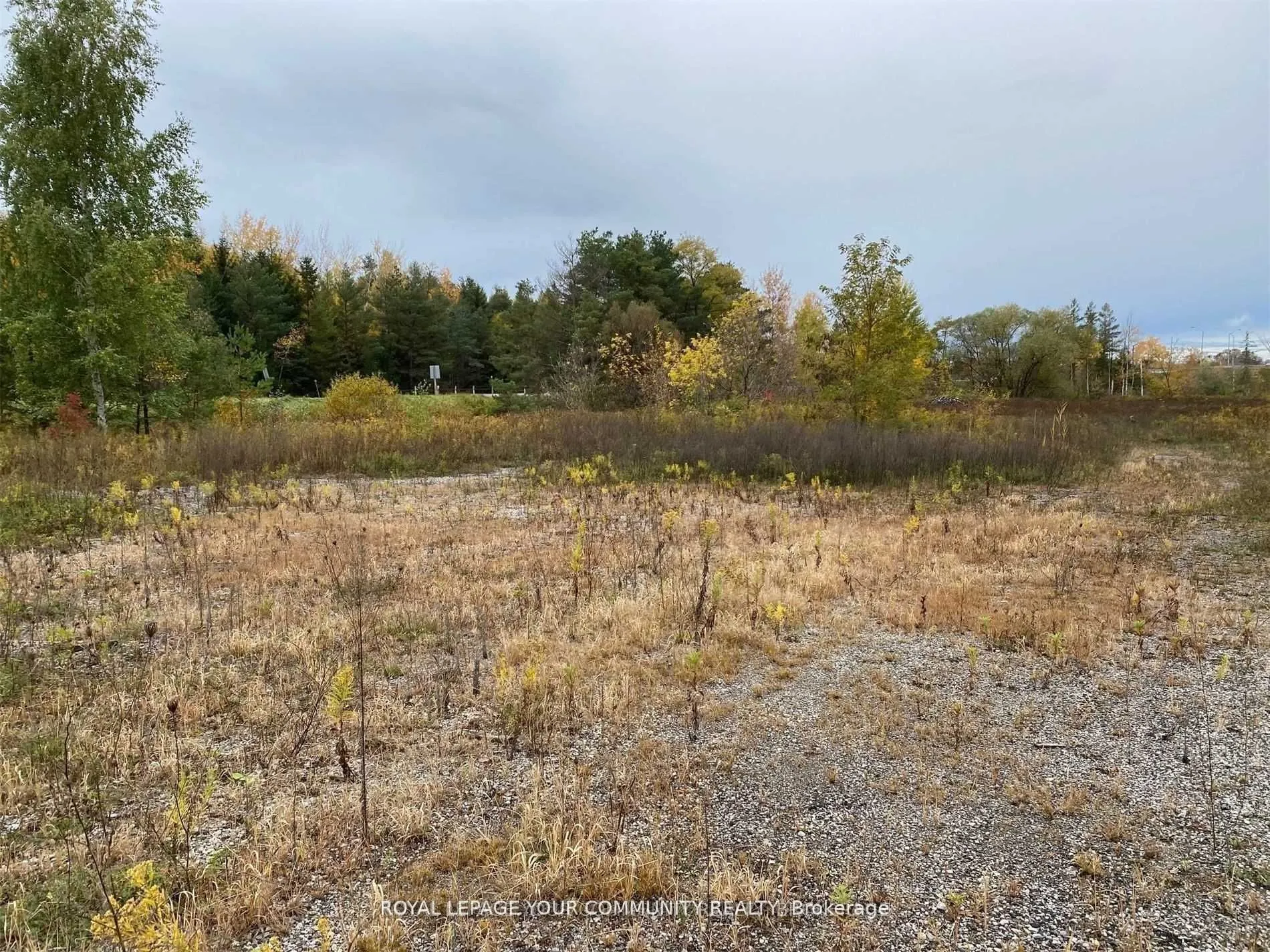 5360 Mount Albert Road