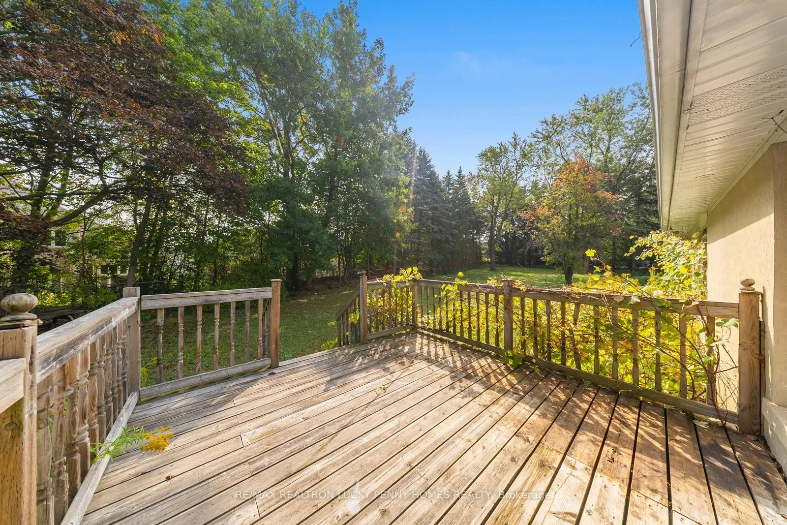 6 SCANDIA Court