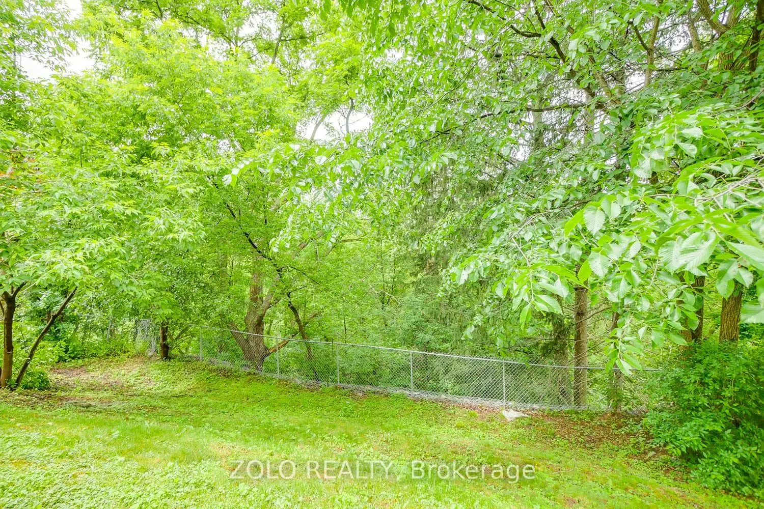 62 Julia Street, #Lower