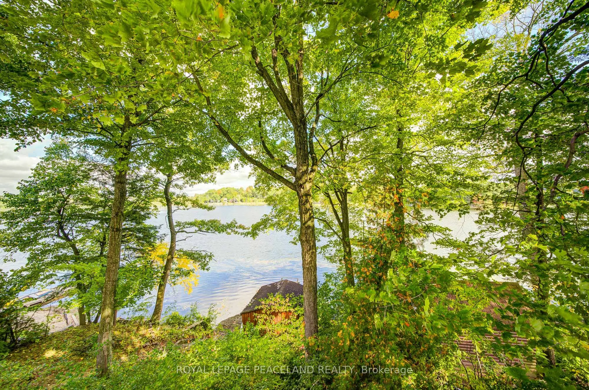 38 Lakeview Avenue