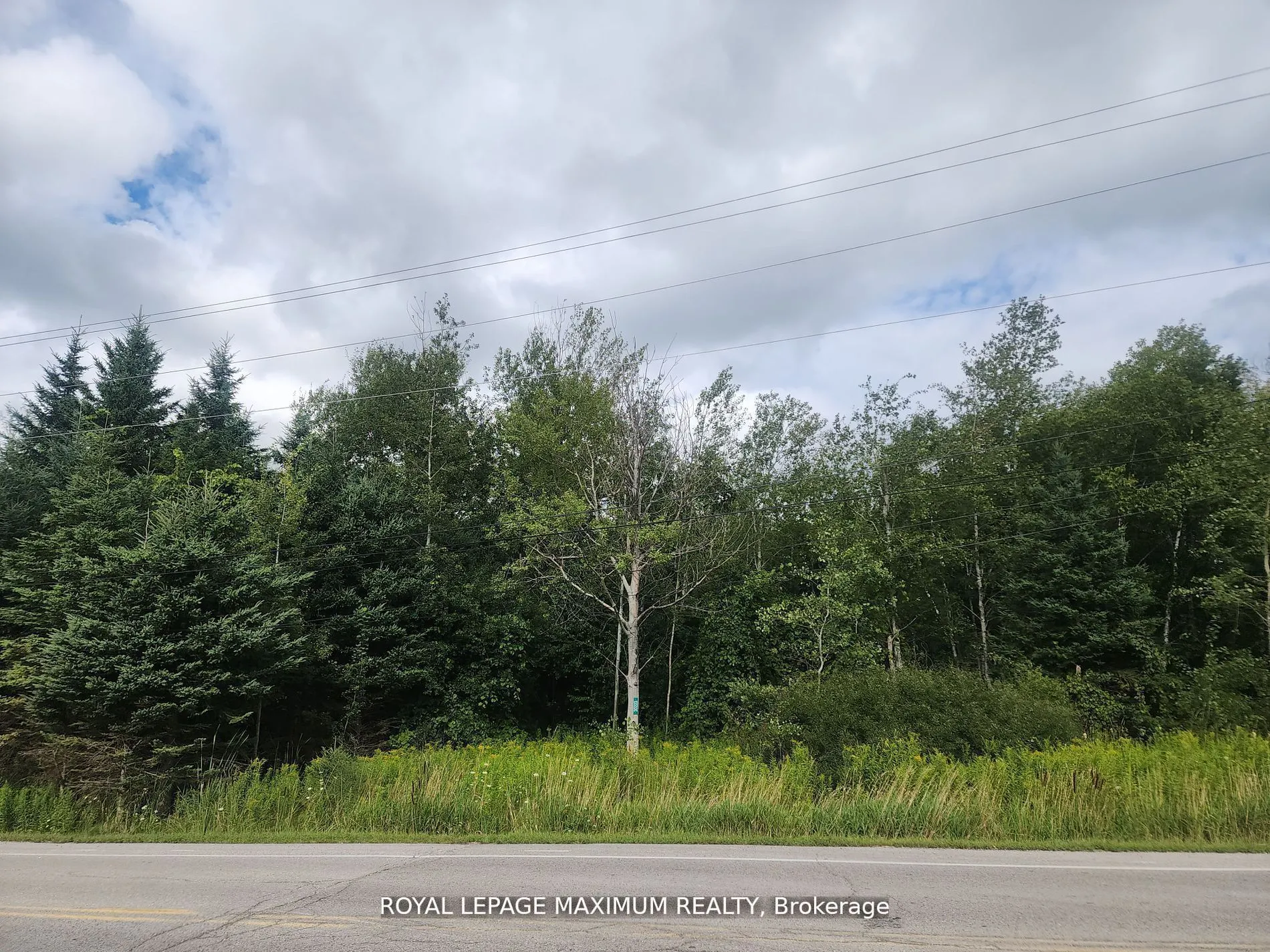 20223 Bathurst Street