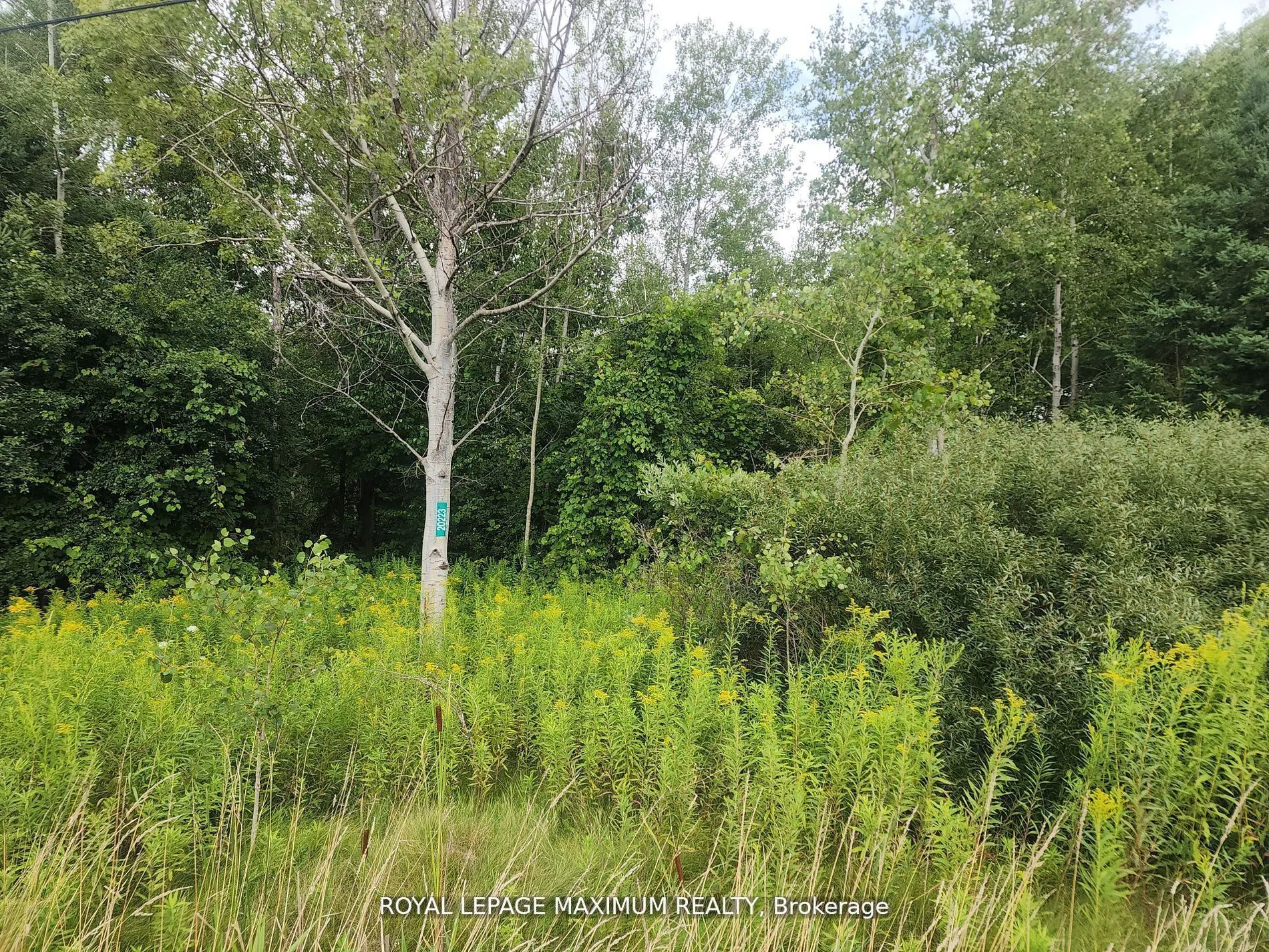 20223 Bathurst Street