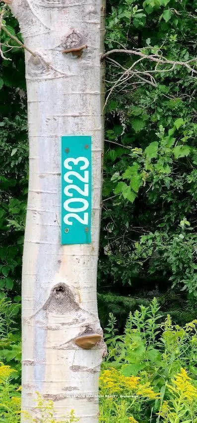 20223 Bathurst Street