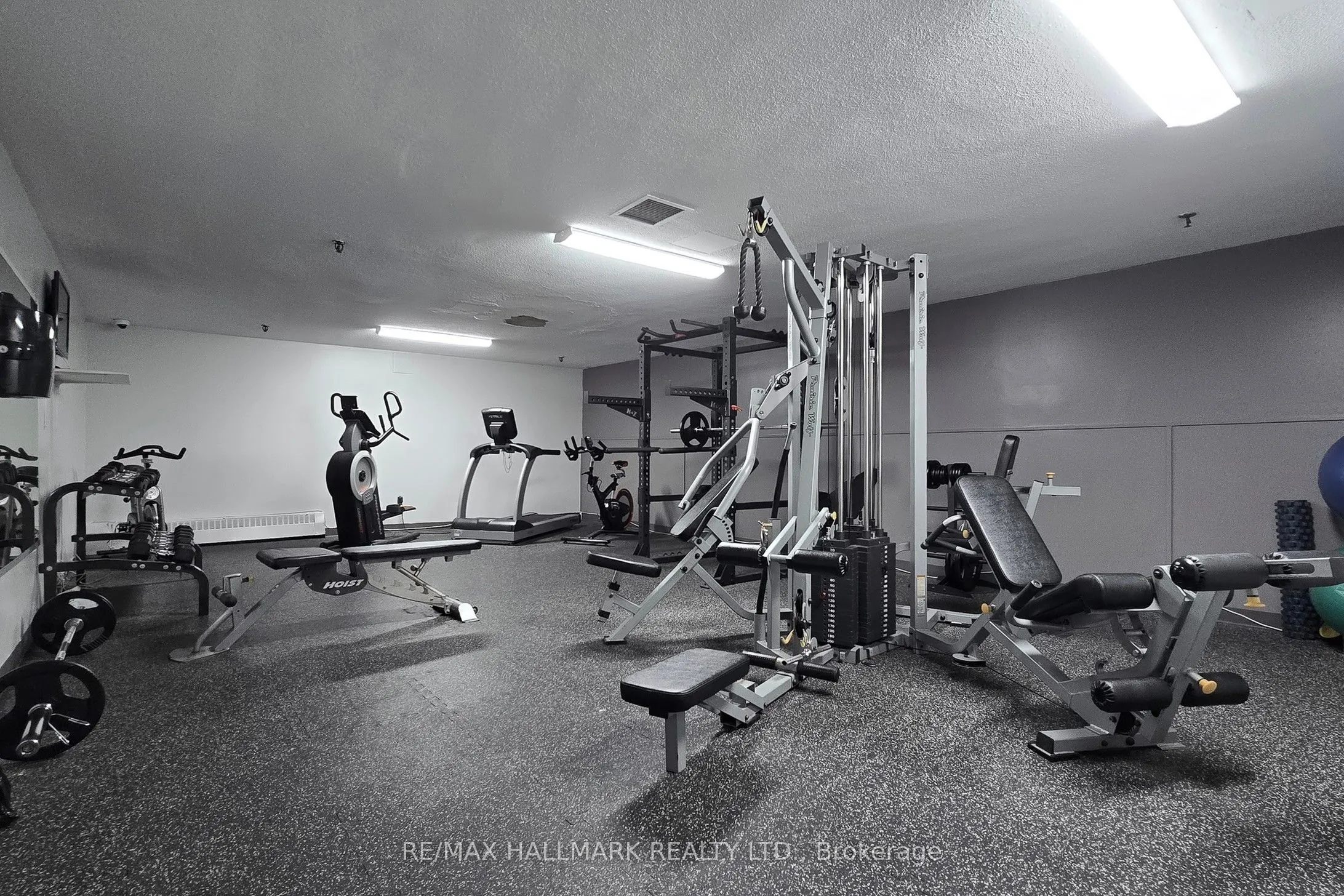16 Elgin Street, #316